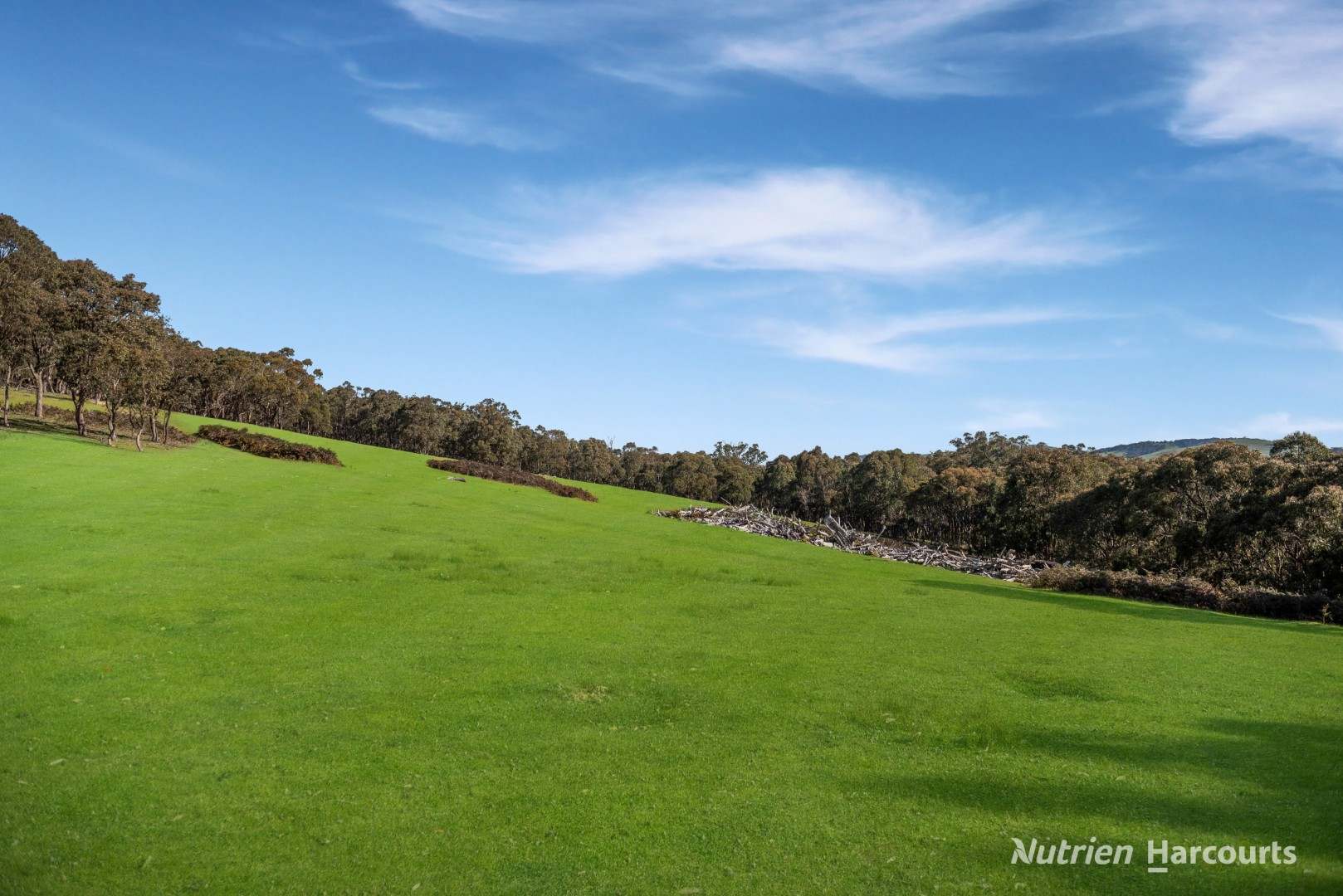 140 Split Staff Gully Road, Willowmavin For Sale by Farmbuy.com - image 9