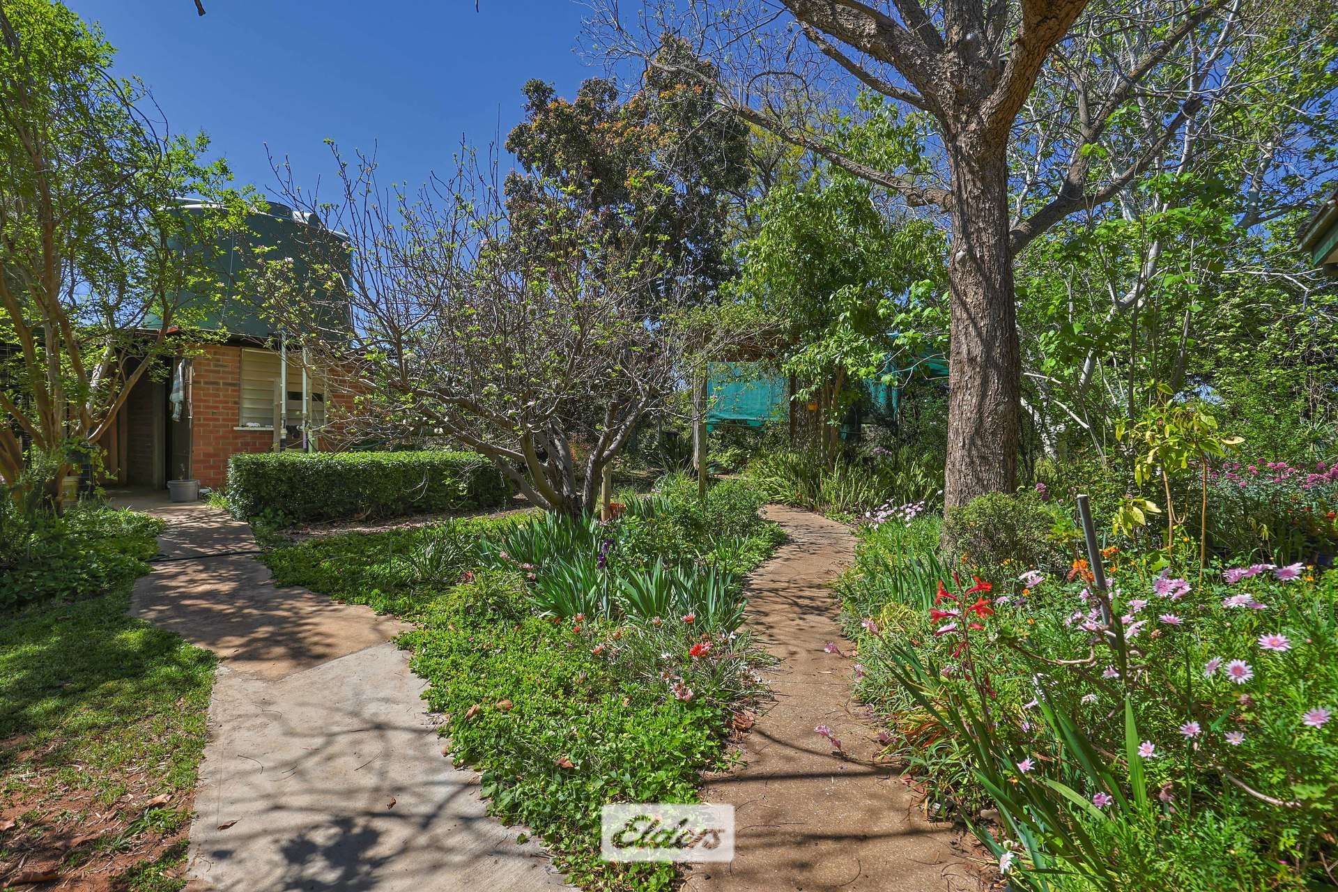 62 Boomerang Avenue, Irymple Auction by Farmbuy.com - image 25