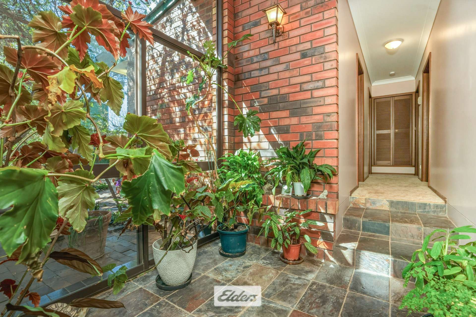 62 Boomerang Avenue, Irymple Auction by Farmbuy.com - image 5
