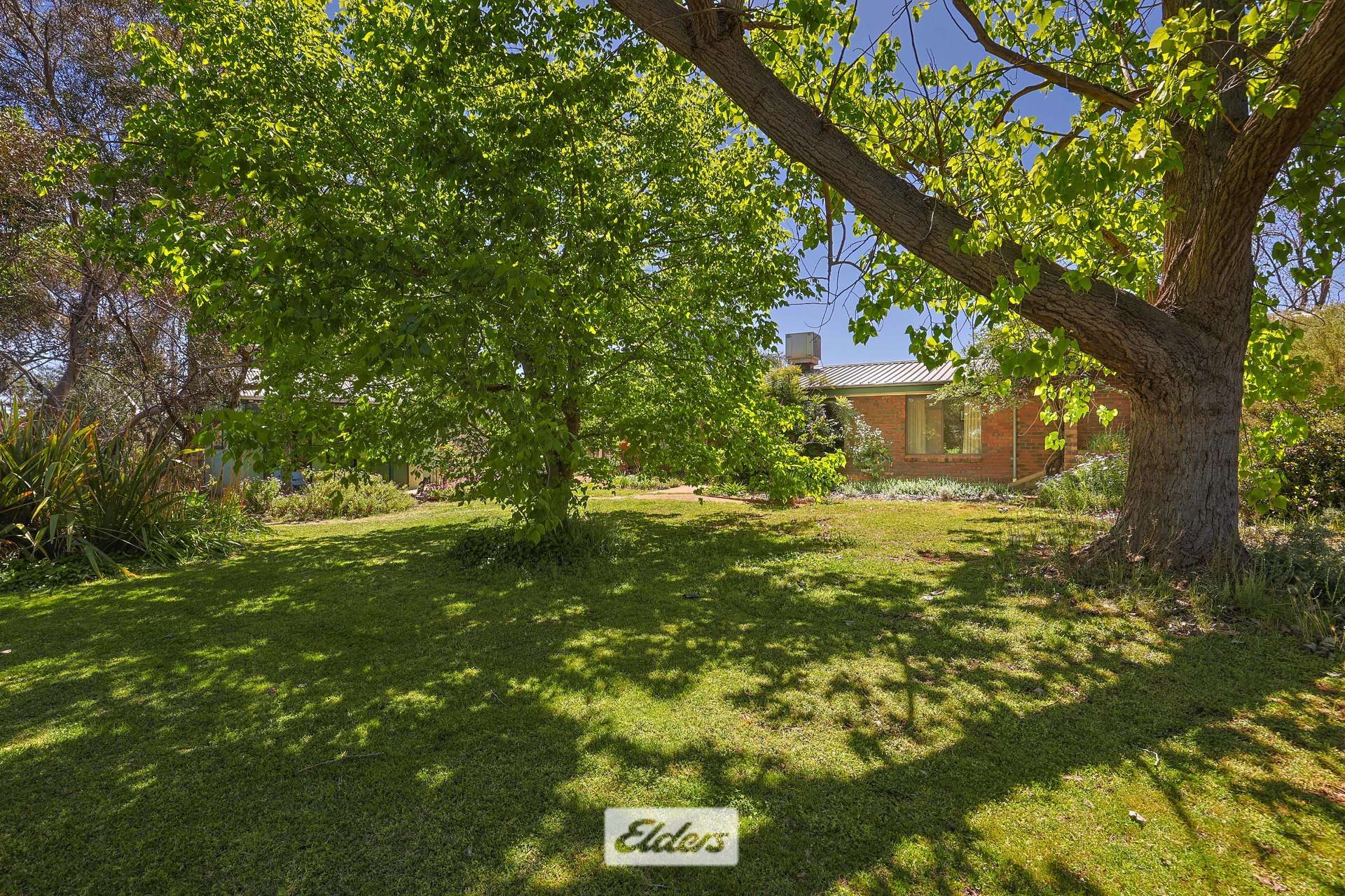 62 Boomerang Avenue, Irymple Auction by Farmbuy.com - image 4
