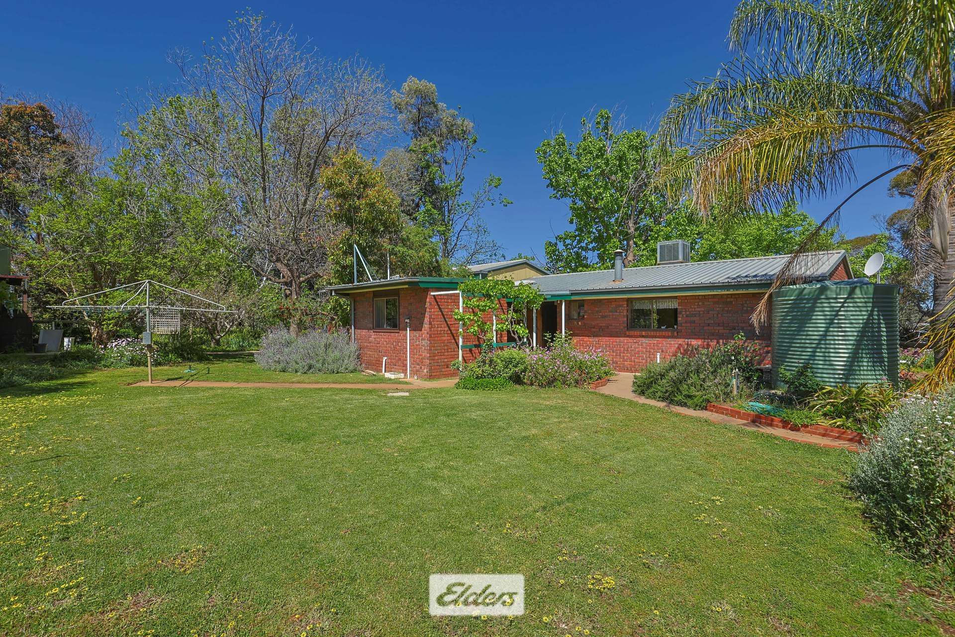 62 Boomerang Avenue, Irymple Auction by Farmbuy.com - image 17