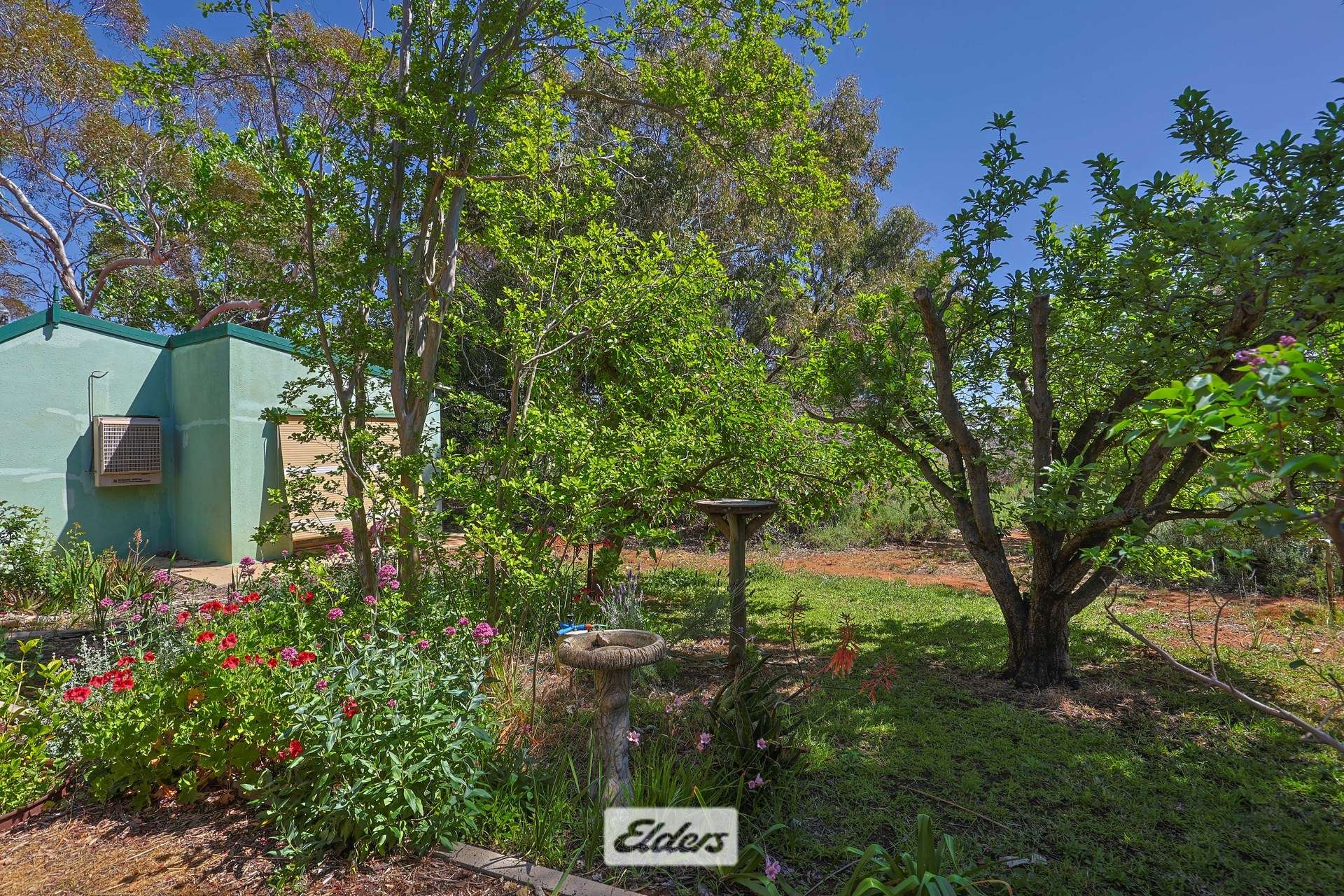 62 Boomerang Avenue, Irymple Auction by Farmbuy.com - image 16