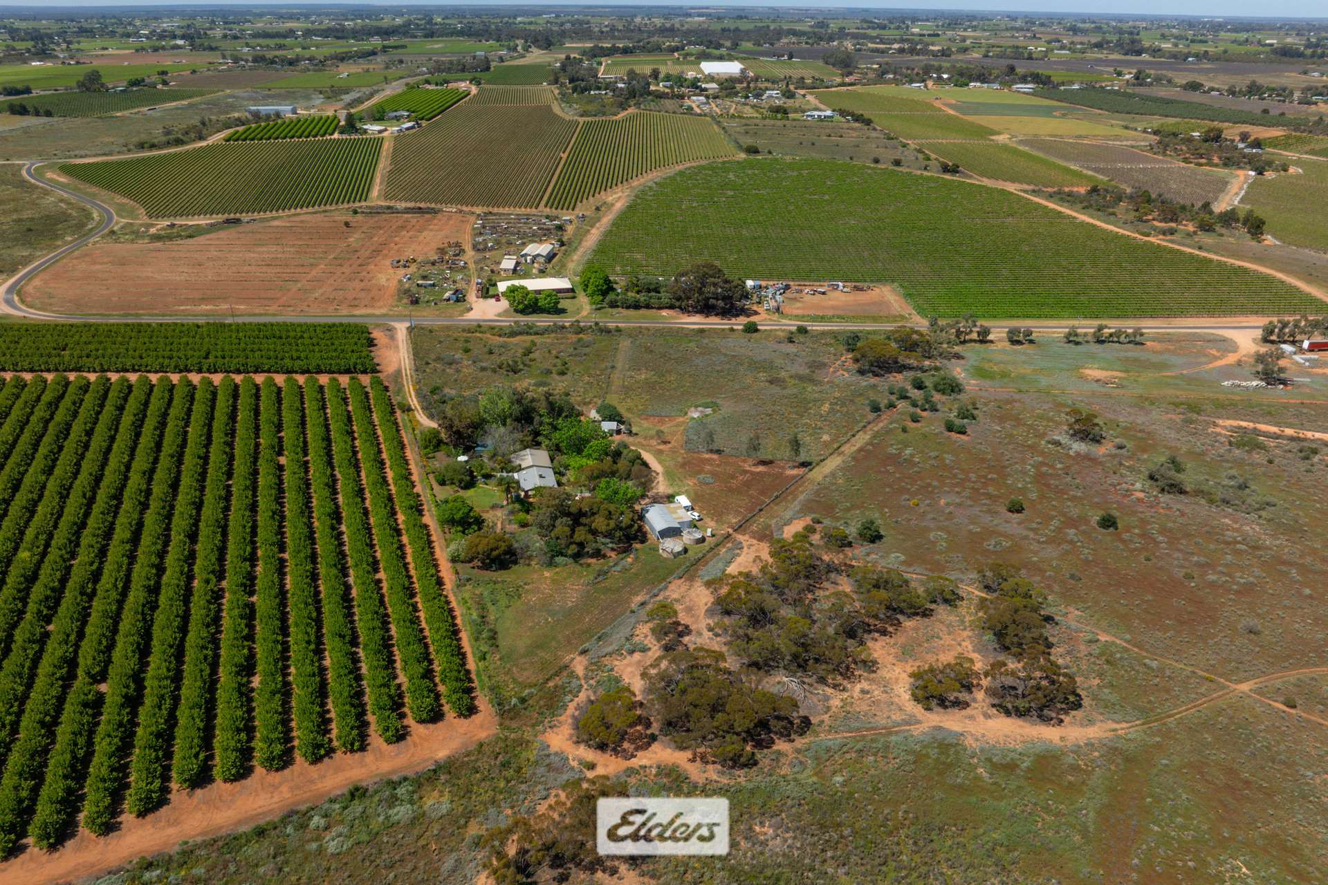 62 Boomerang Avenue, Irymple Auction by Farmbuy.com - image 31