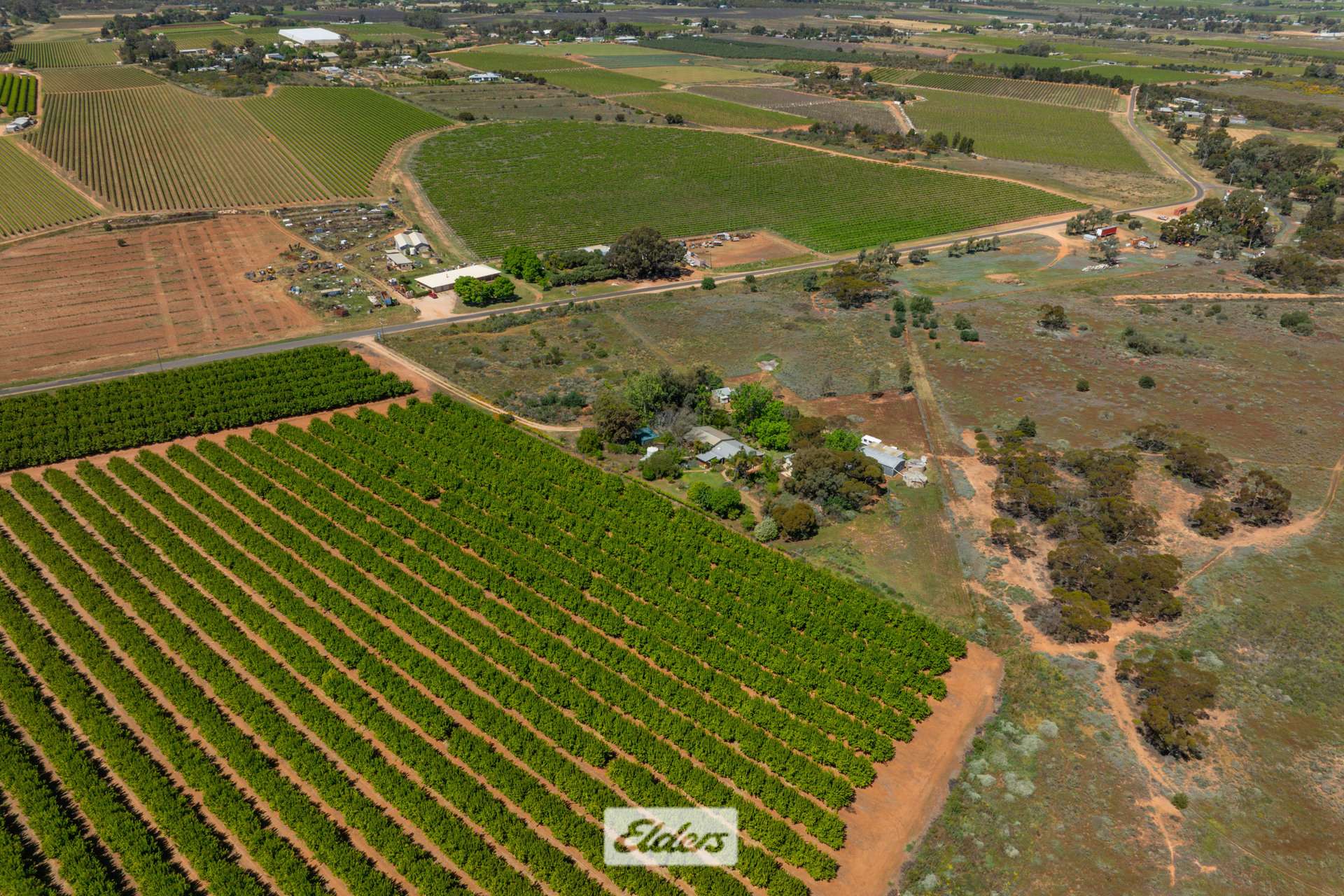 62 Boomerang Avenue, Irymple Auction by Farmbuy.com - image 32