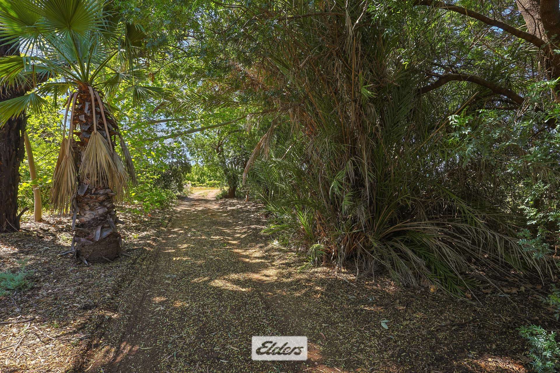 62 Boomerang Avenue, Irymple Auction by Farmbuy.com - image 26