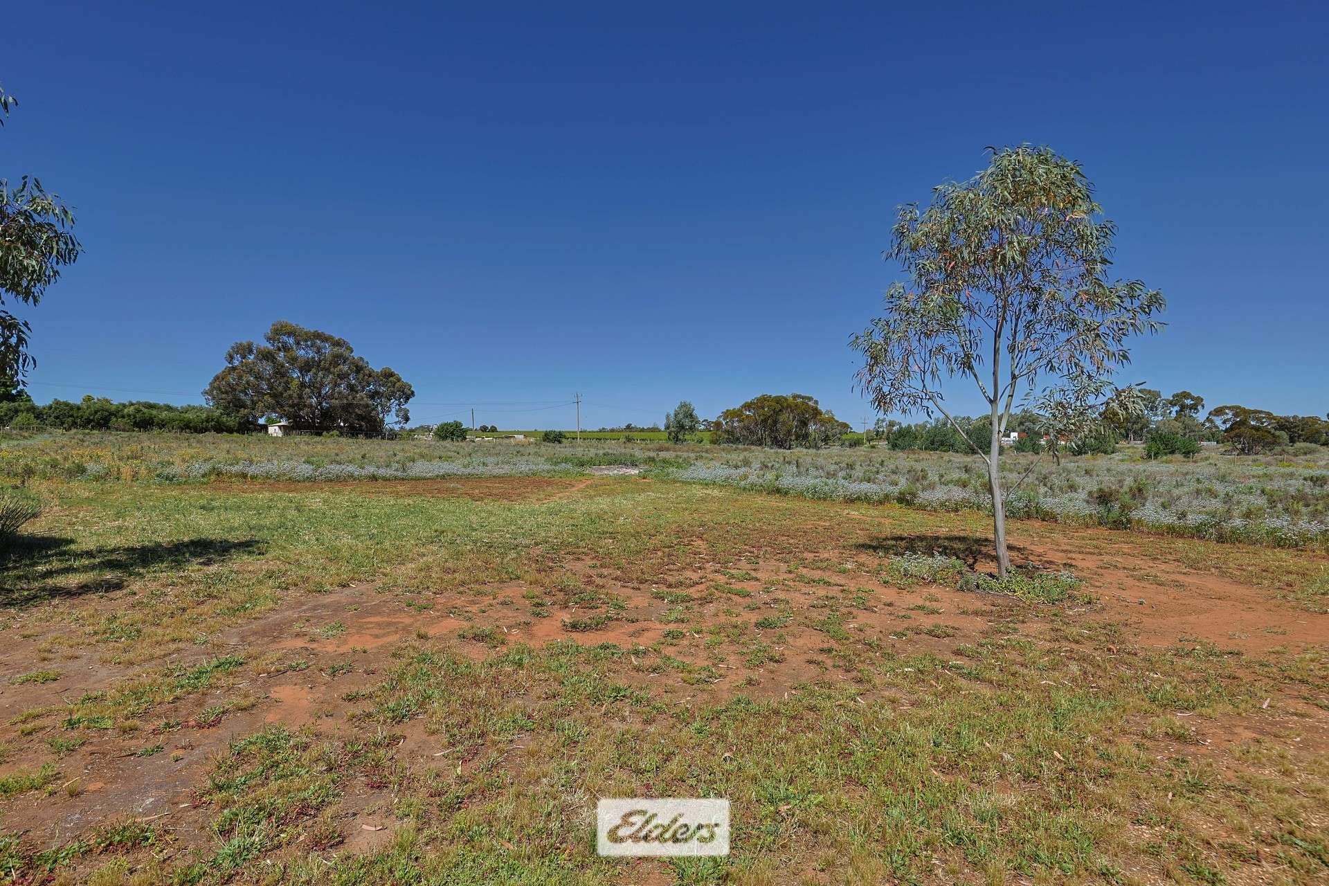 62 Boomerang Avenue, Irymple Auction by Farmbuy.com - image 27