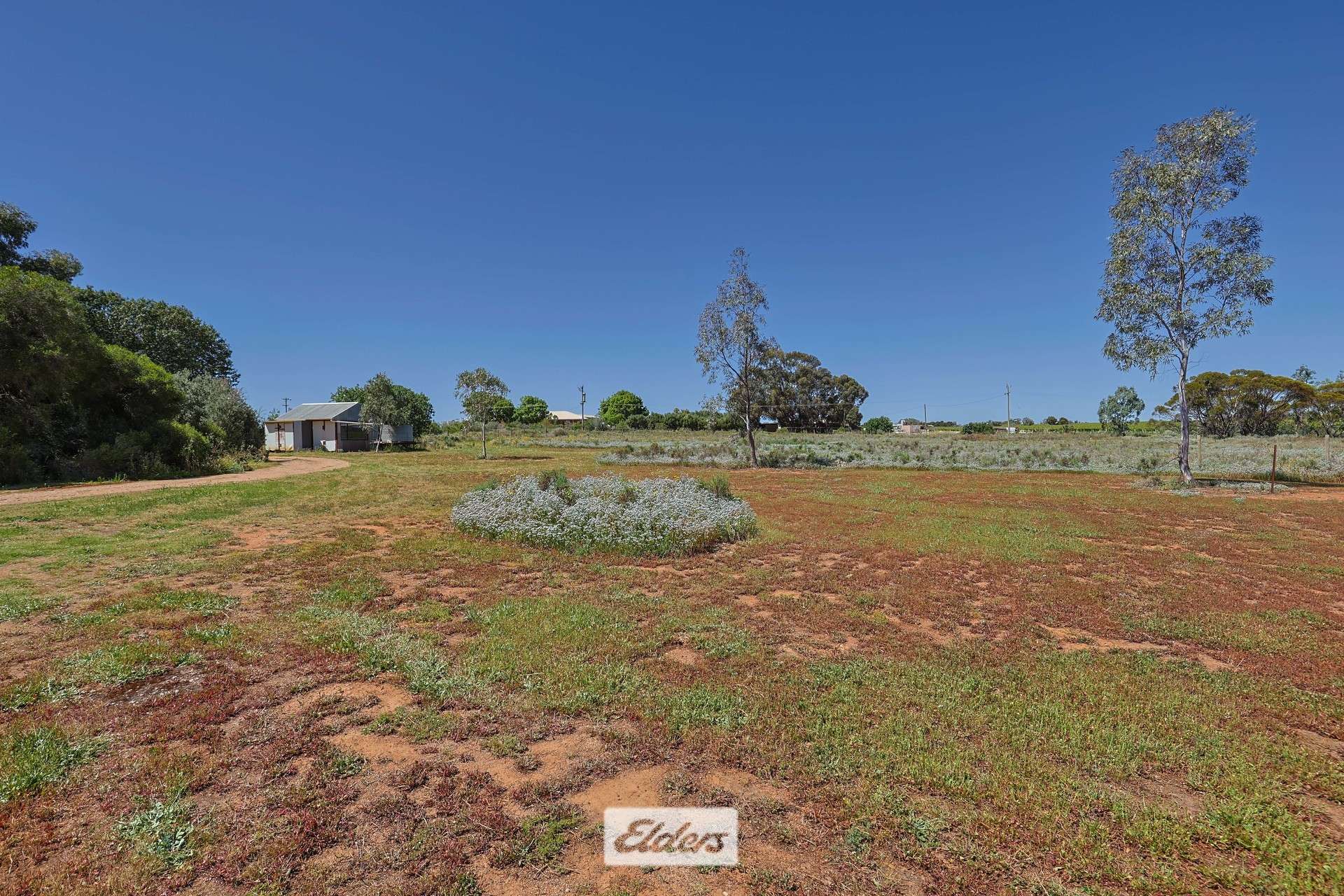 62 Boomerang Avenue, Irymple Auction by Farmbuy.com - image 29