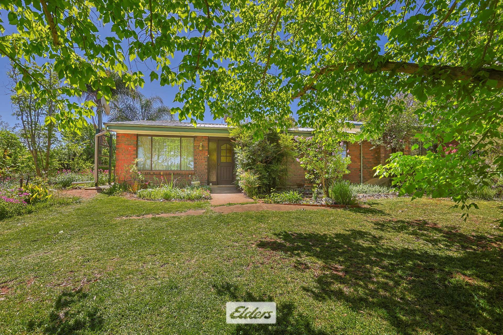 62 Boomerang Avenue, Irymple Auction by Farmbuy.com - image 2