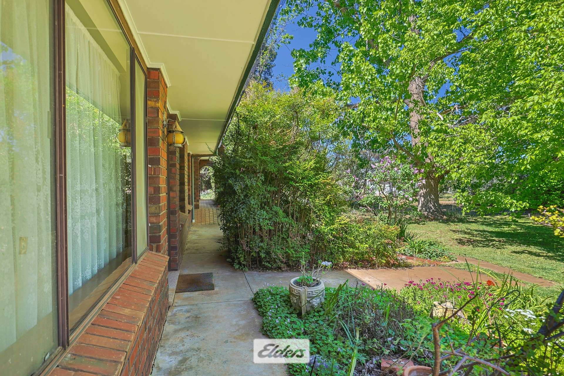 62 Boomerang Avenue, Irymple Auction by Farmbuy.com - image 3