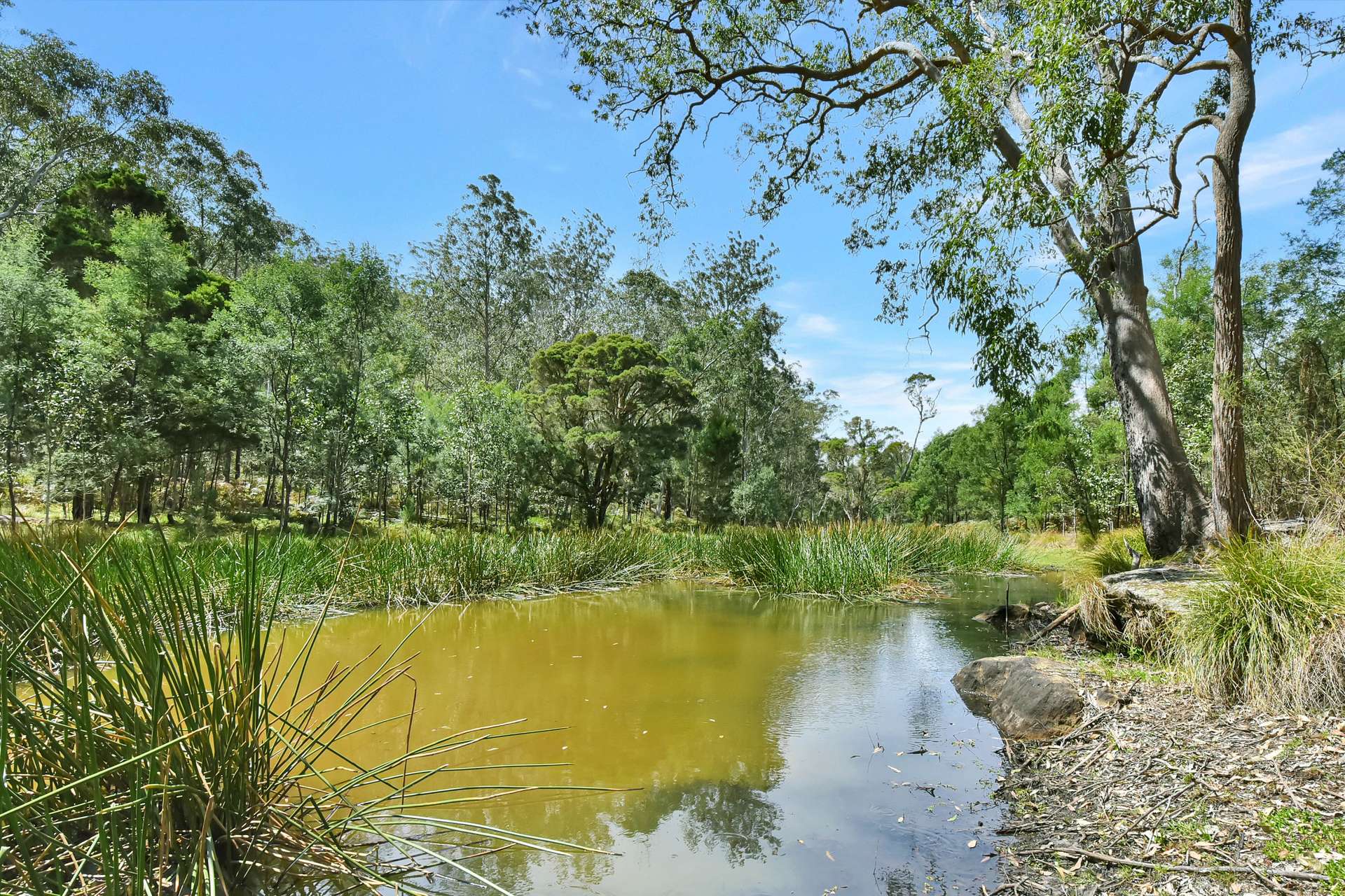 Laguna For Sale by Farmbuy.com - image 31