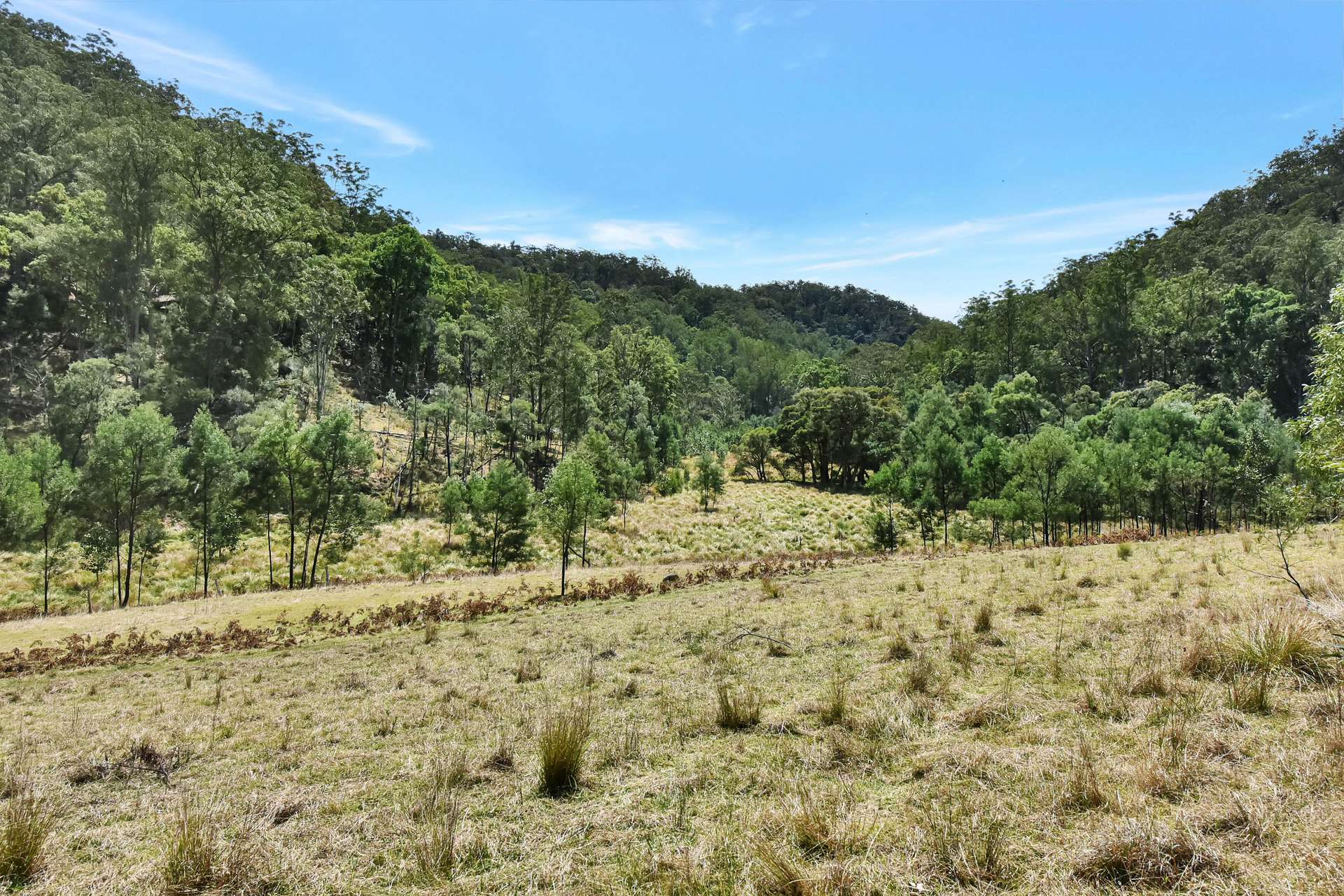 Laguna For Sale by Farmbuy.com - image 30