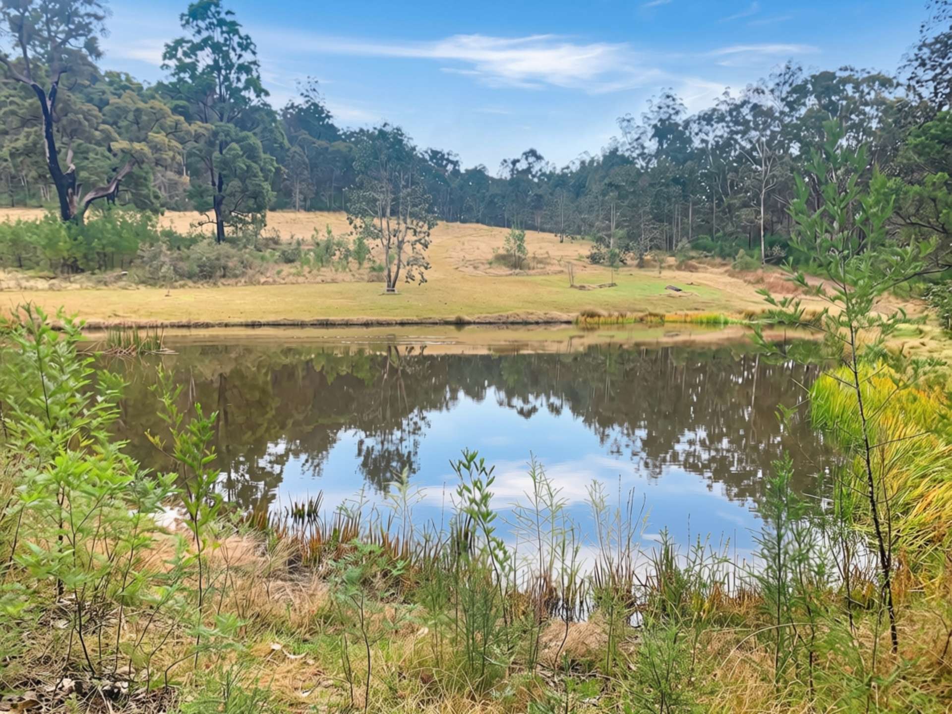 Laguna For Sale by Farmbuy.com - image 27