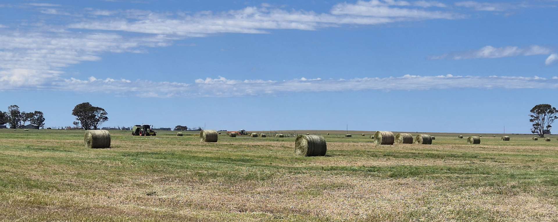 Ratio Downs, Degrussa Road, Gibson For Sale by Farmbuy.com - image 9