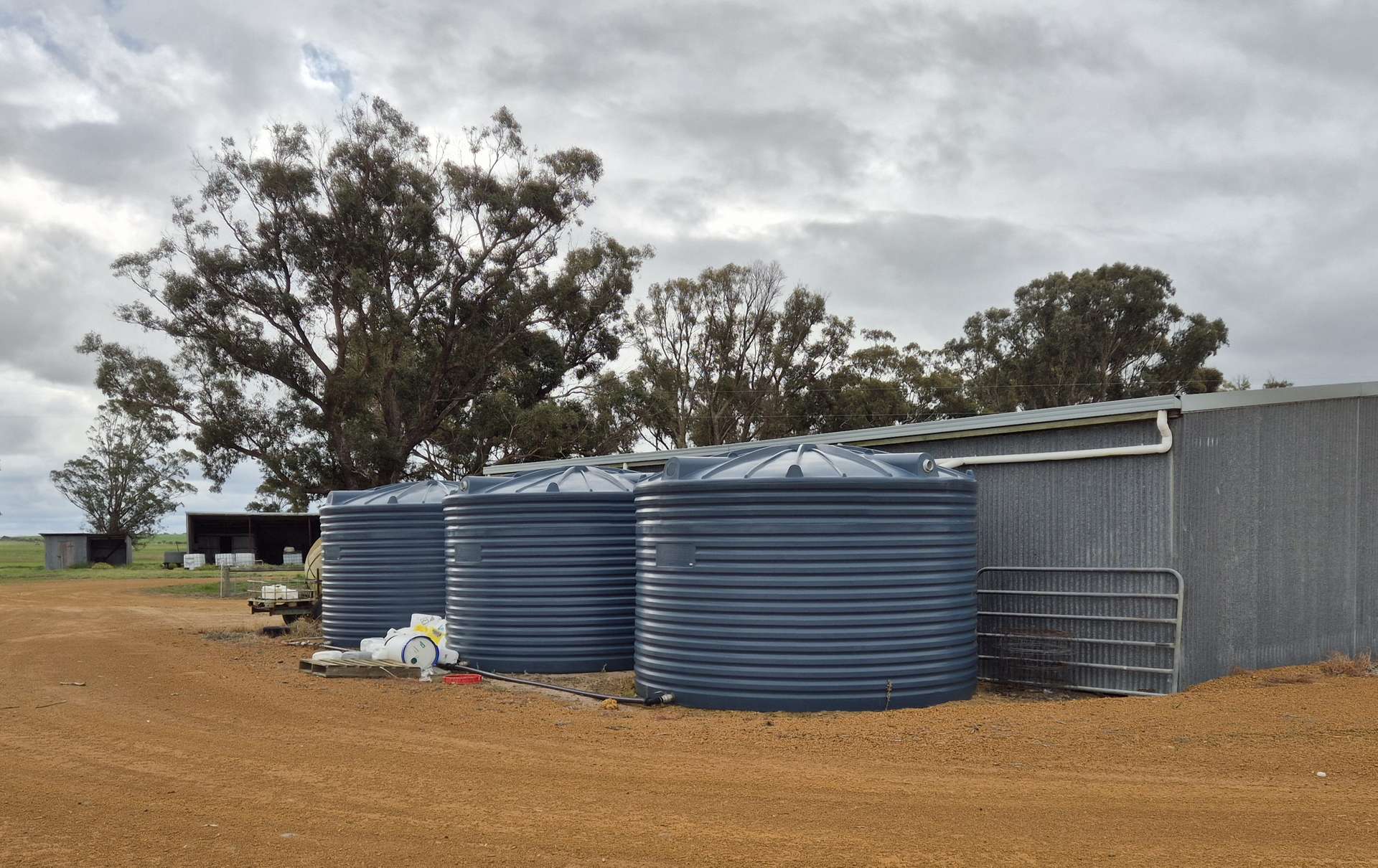 Ratio Downs, Degrussa Road, Gibson For Sale by Farmbuy.com - image 7
