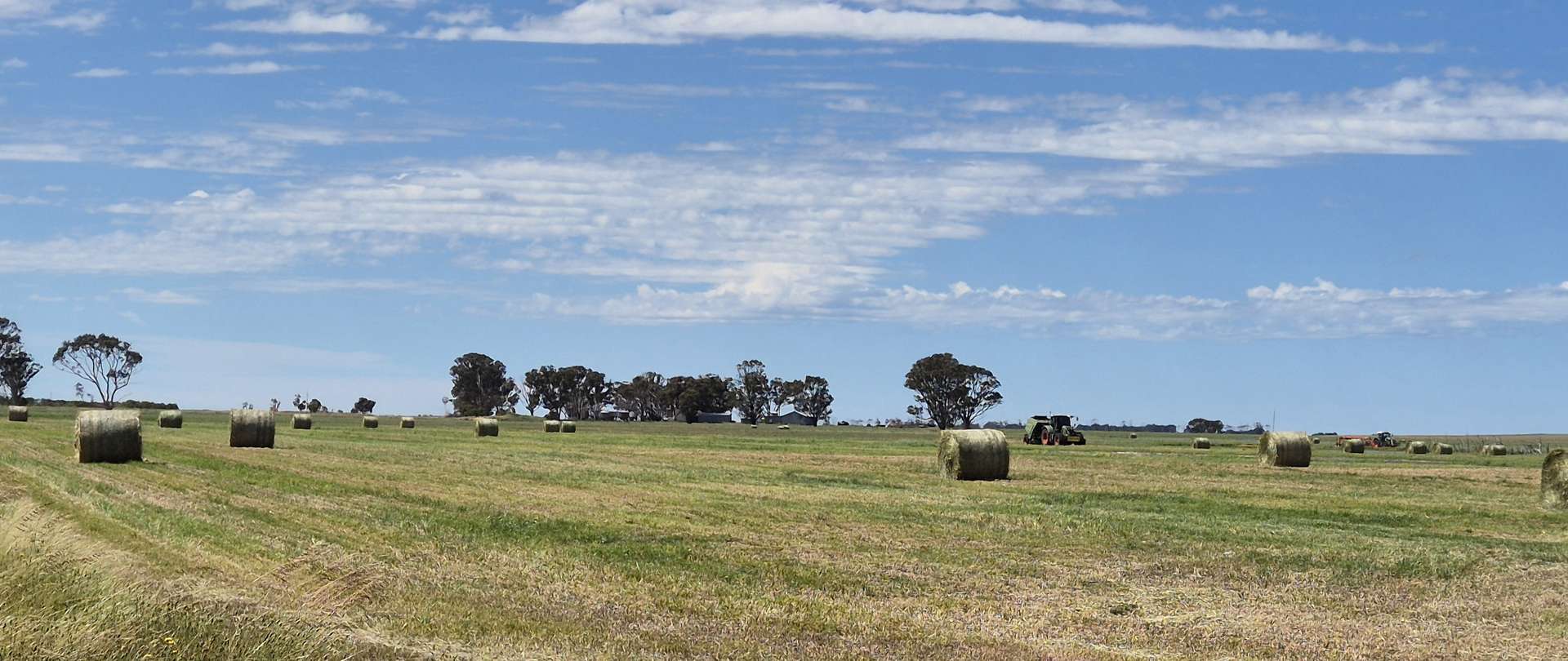 Ratio Downs, Degrussa Road, Gibson For Sale by Farmbuy.com - image 1