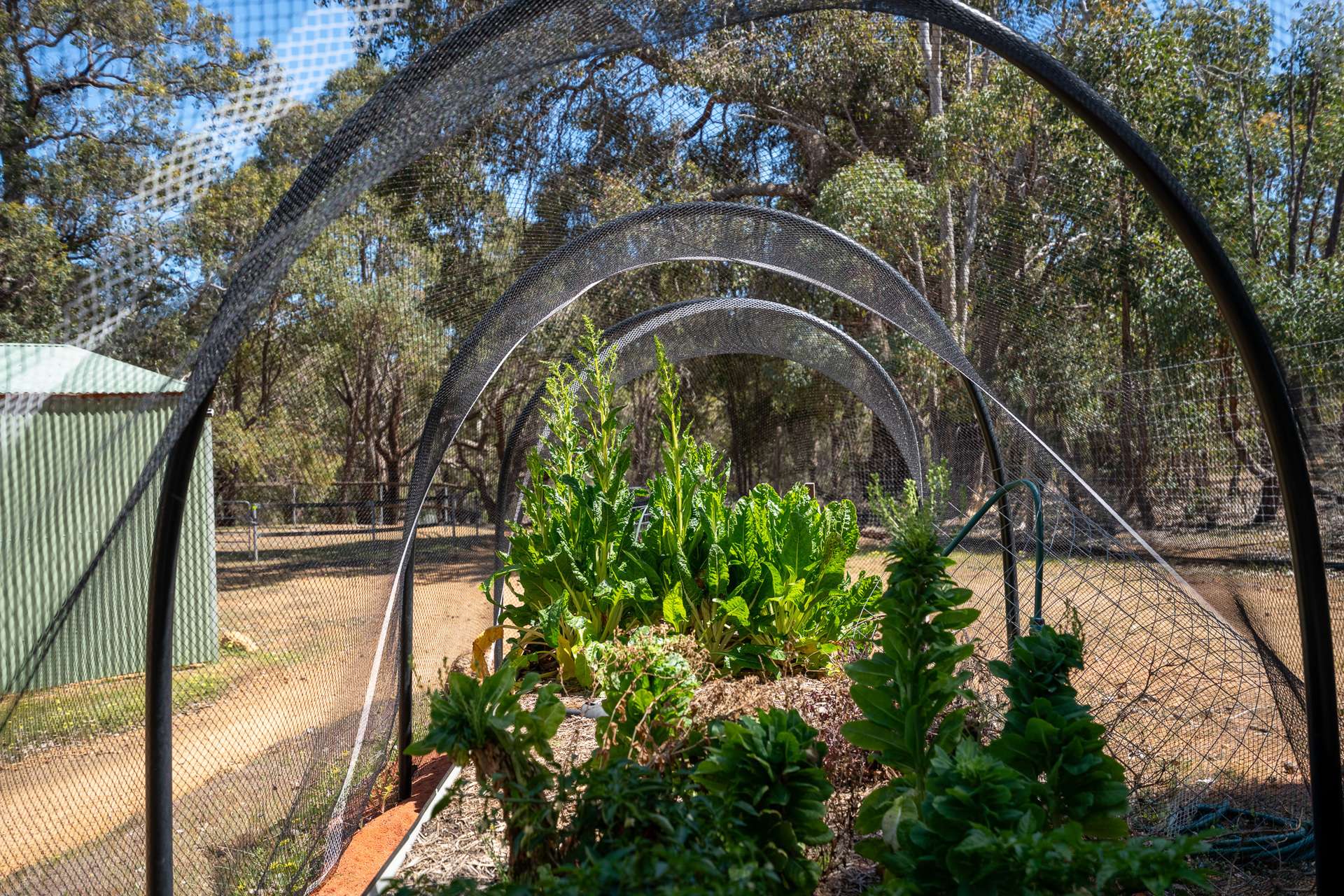 14/380 Clenton Road, Gidgegannup For Sale by Farmbuy.com - image 11