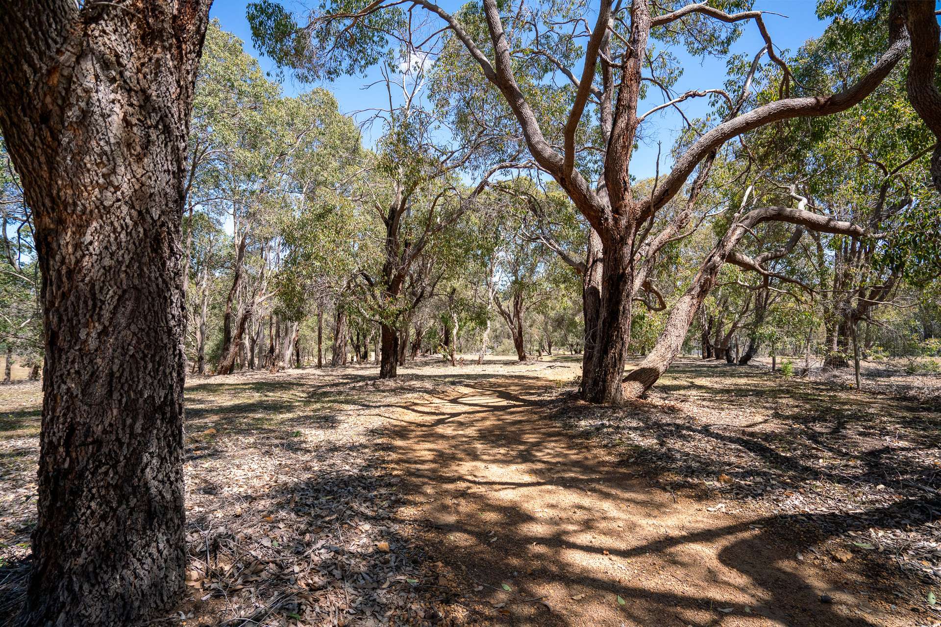 14/380 Clenton Road, Gidgegannup For Sale by Farmbuy.com - image 14