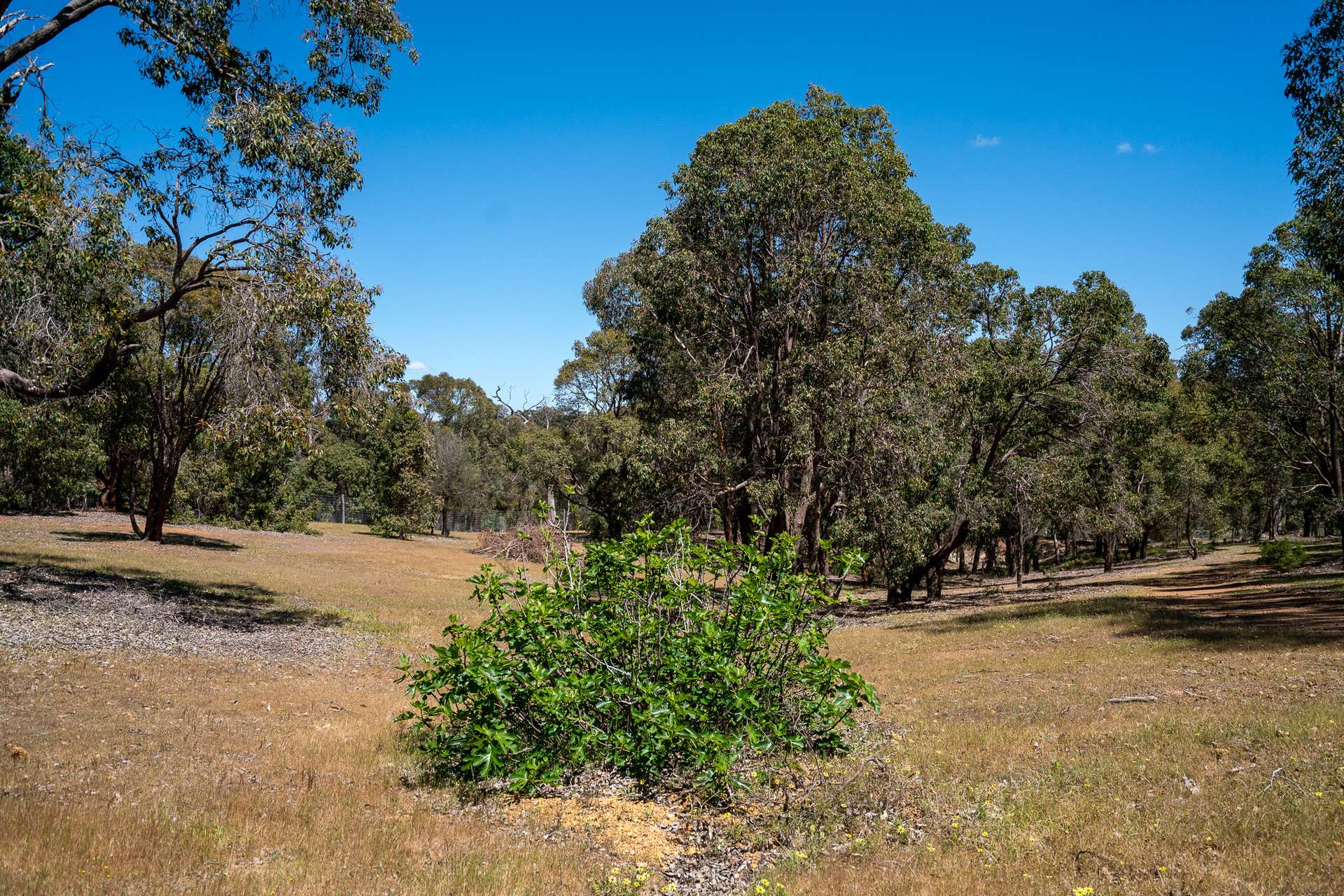 14/380 Clenton Road, Gidgegannup For Sale by Farmbuy.com - image 18