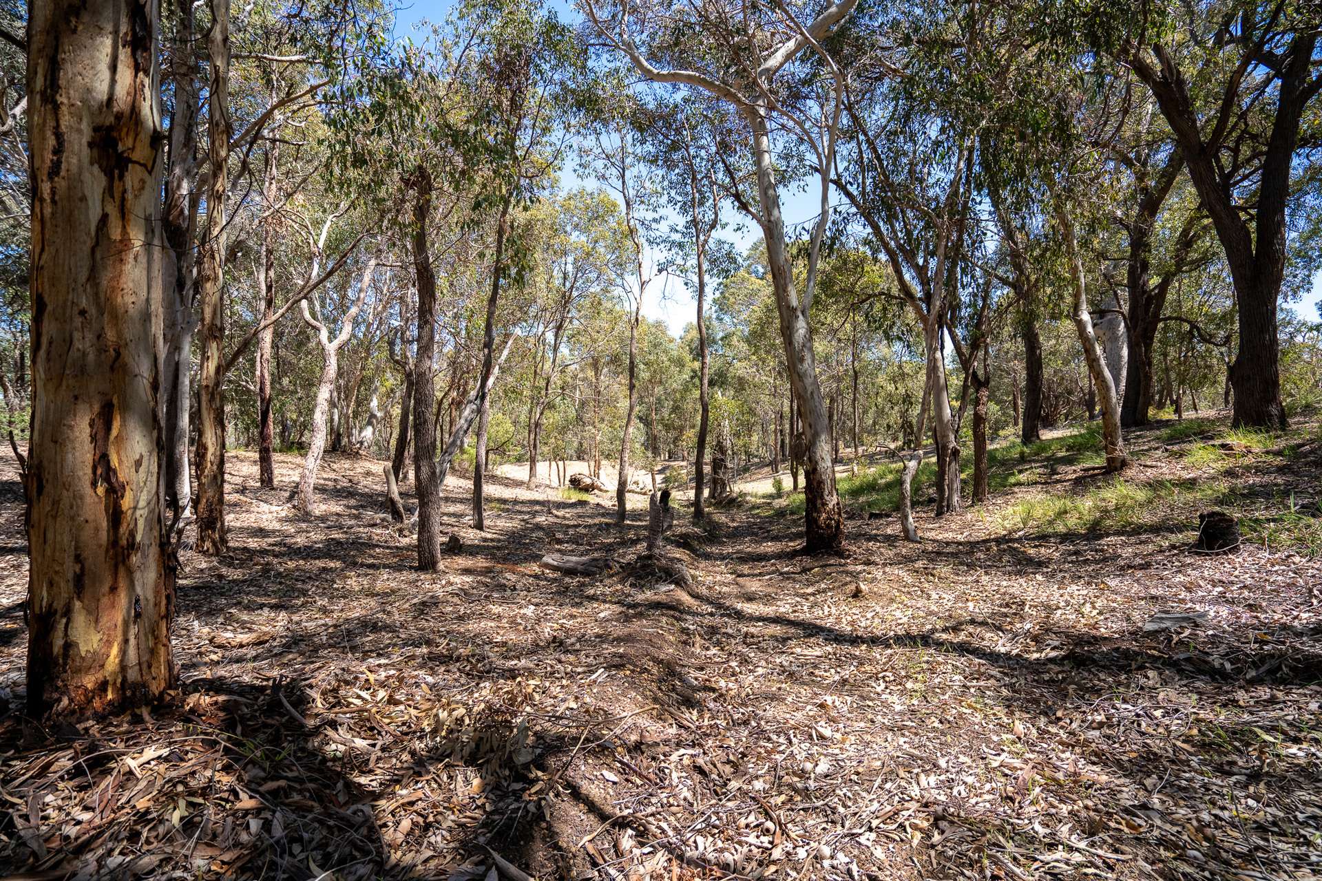 14/380 Clenton Road, Gidgegannup For Sale by Farmbuy.com - image 17