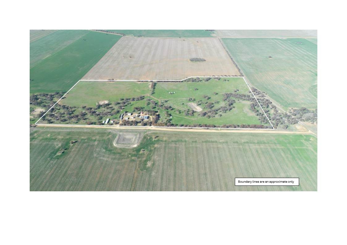 60A McClelland Road, Cope Cope For Sale by Farmbuy.com - image 29