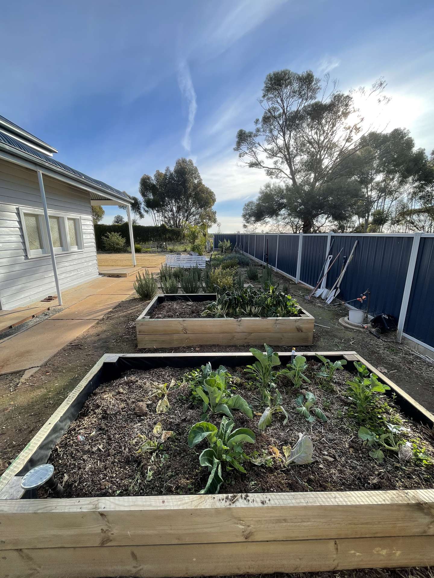60A McClelland Road, Cope Cope For Sale by Farmbuy.com - image 22