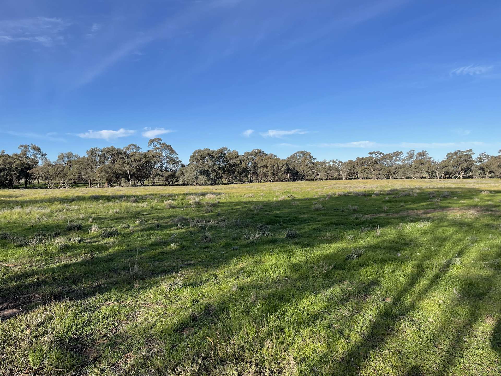 60A McClelland Road, Cope Cope For Sale by Farmbuy.com - image 27