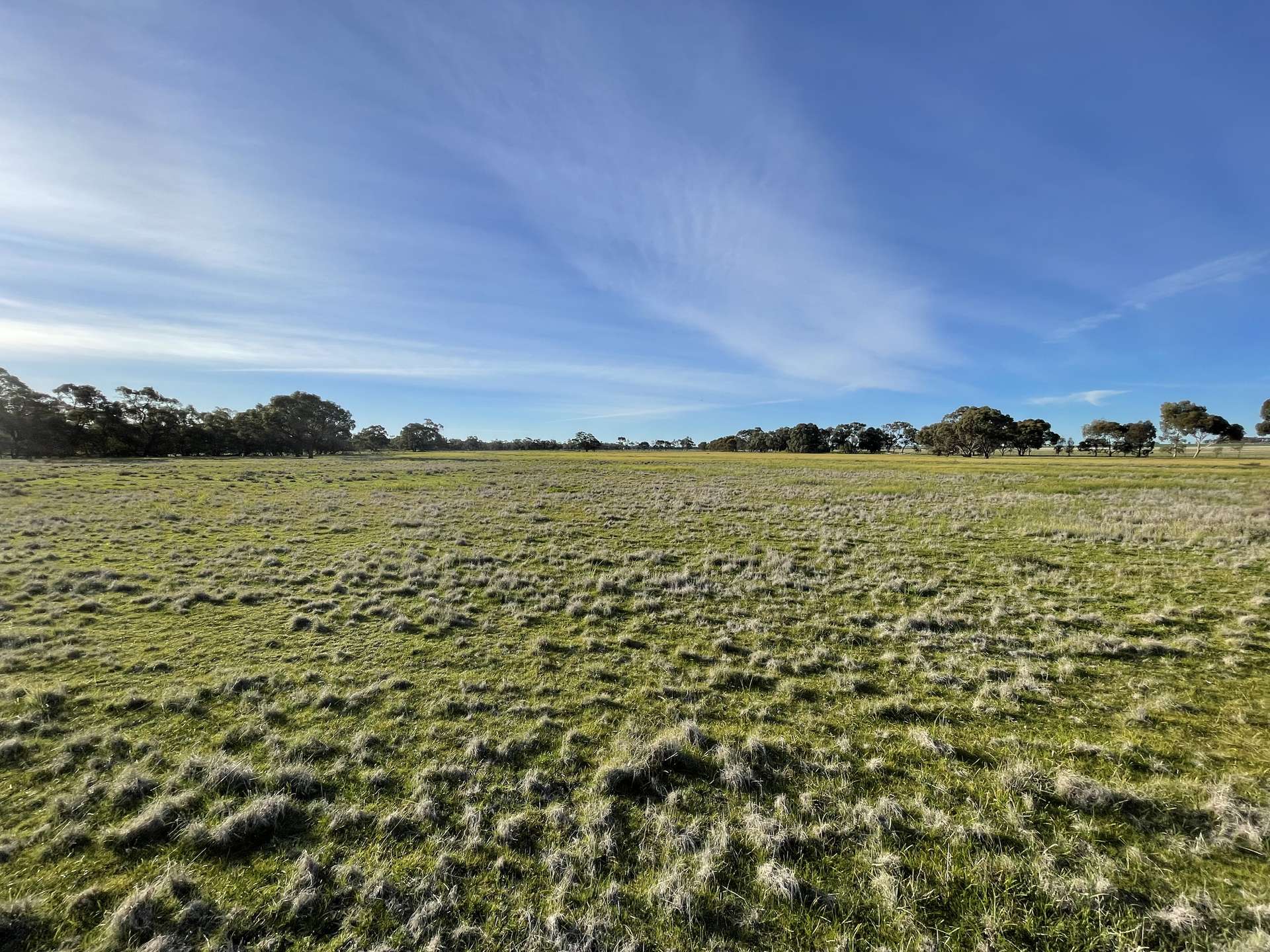 60A McClelland Road, Cope Cope For Sale by Farmbuy.com - image 28