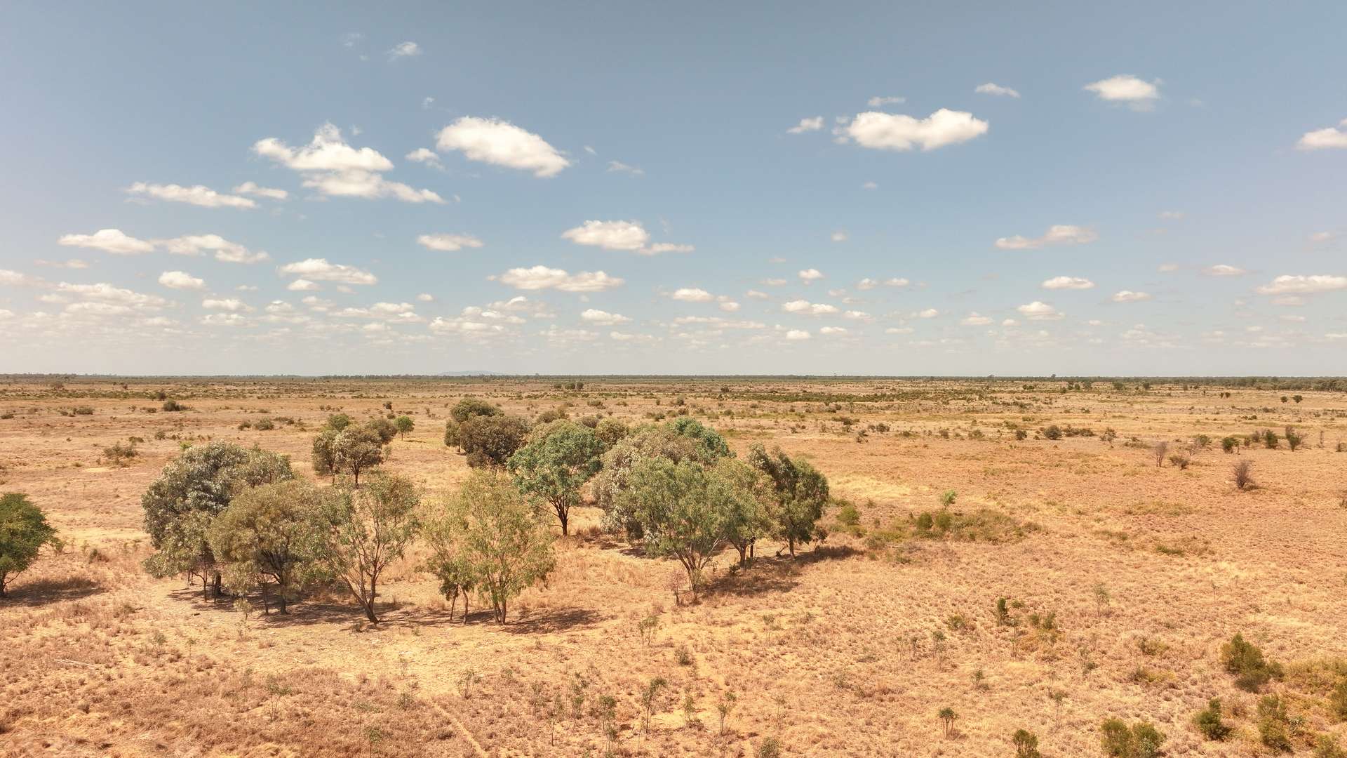 'East Top' Bygana Laglan Road, Clermont Tender by Farmbuy.com - image 11