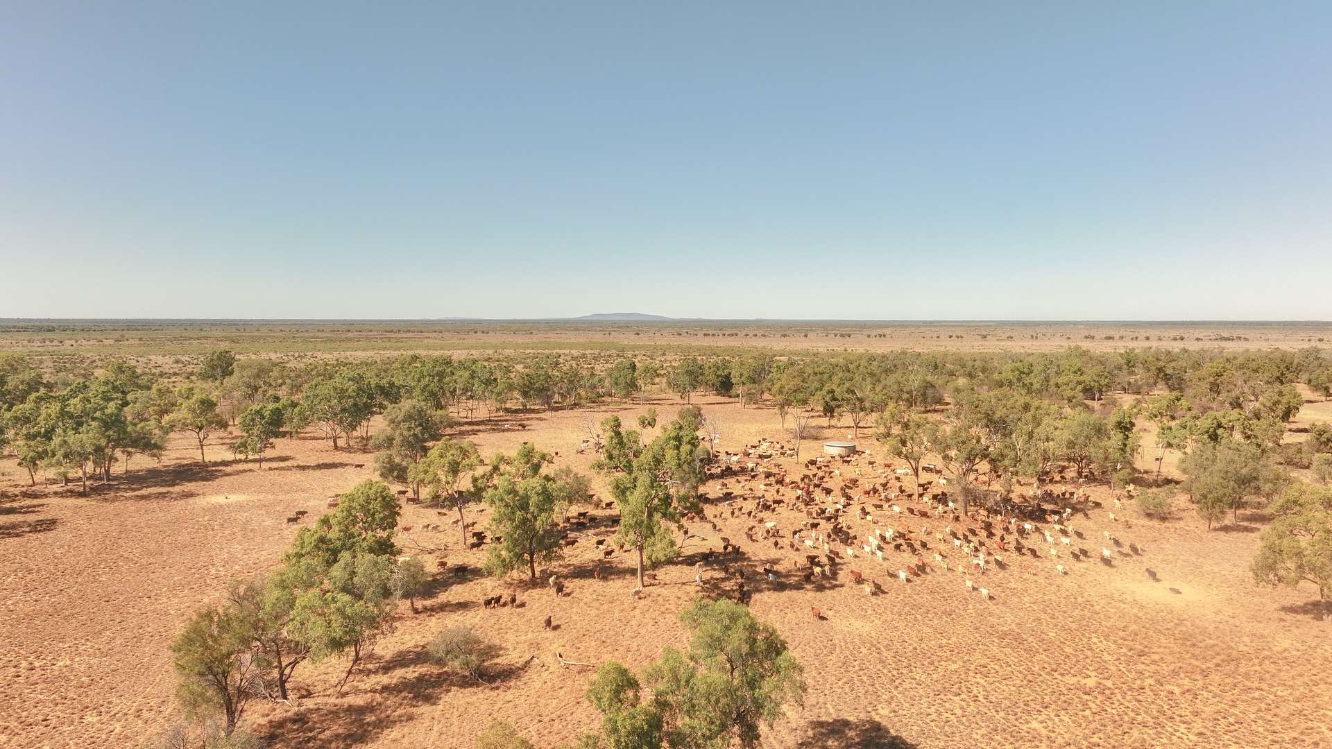 'East Top' Bygana Laglan Road, Clermont Tender by Farmbuy.com - image 12