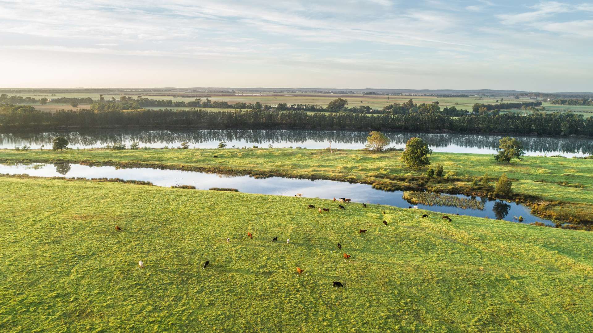 Lot 1, 2, 3 & 4 Burraga Island (DP 1184790), Terara For Sale by Farmbuy.com - image 16