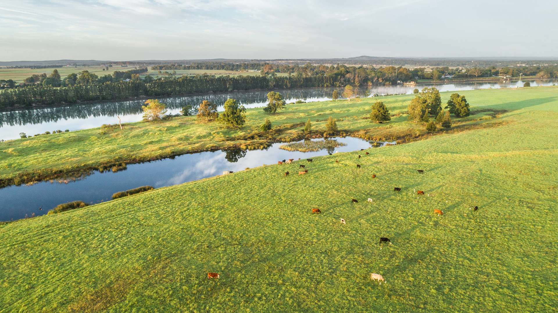 Lot 1, 2, 3 & 4 Burraga Island (DP 1184790), Terara For Sale by Farmbuy.com - image 7