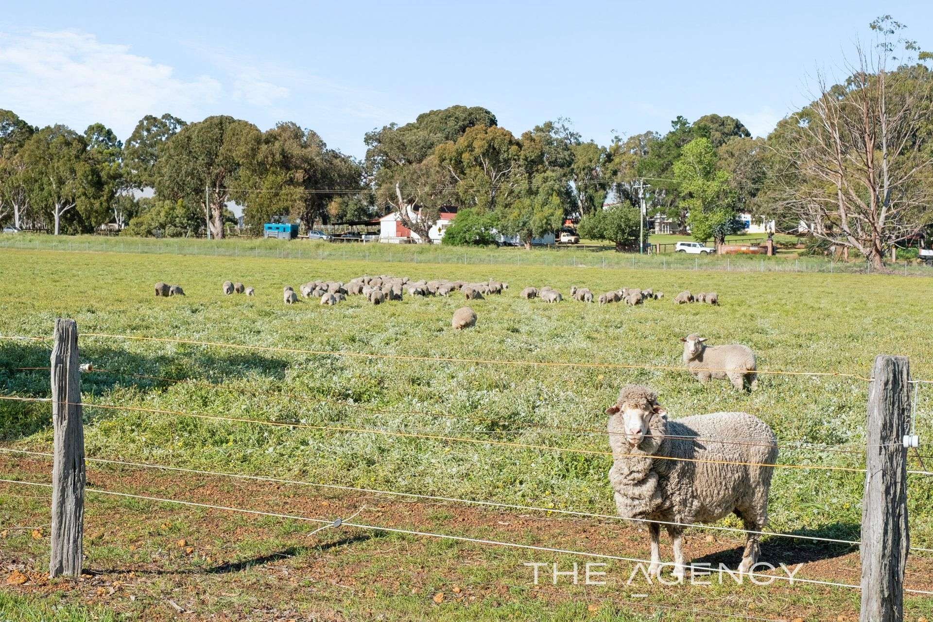 3399 Toodyay Road, Bailup For Sale by Farmbuy.com - image 5