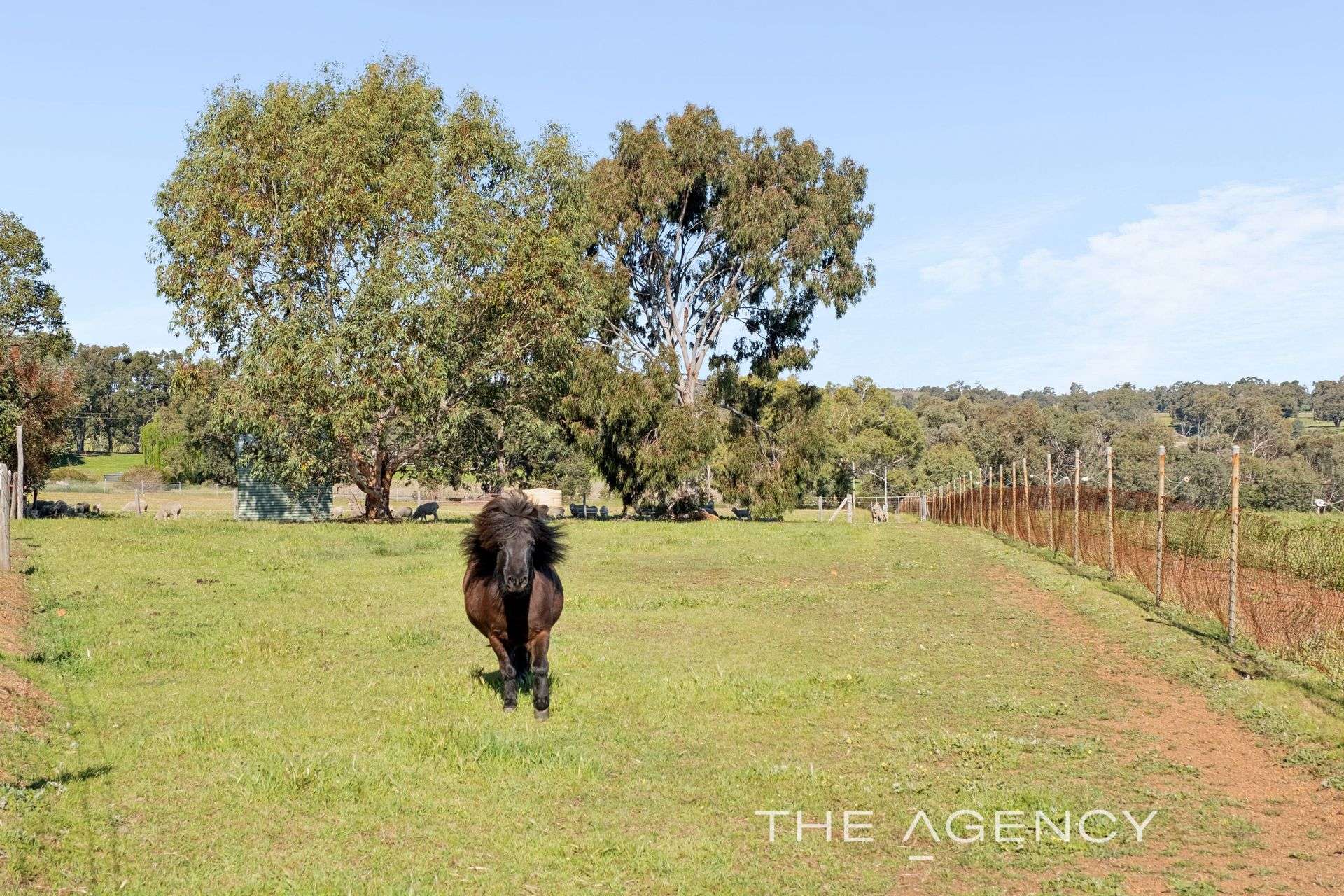 3399 Toodyay Road, Bailup For Sale by Farmbuy.com - image 30