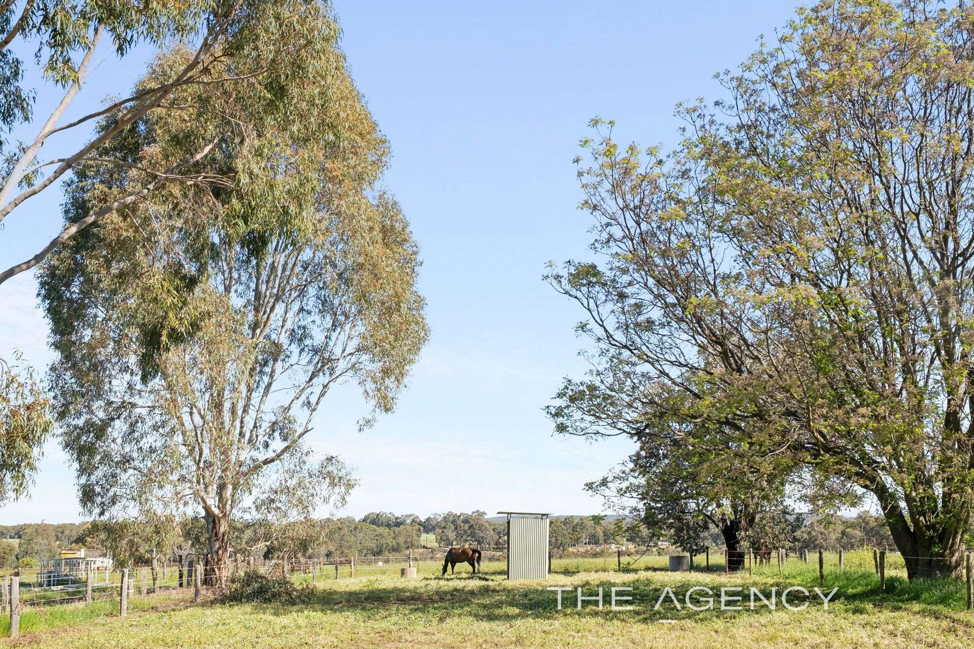 3399 Toodyay Road, Bailup For Sale by Farmbuy.com - image 7
