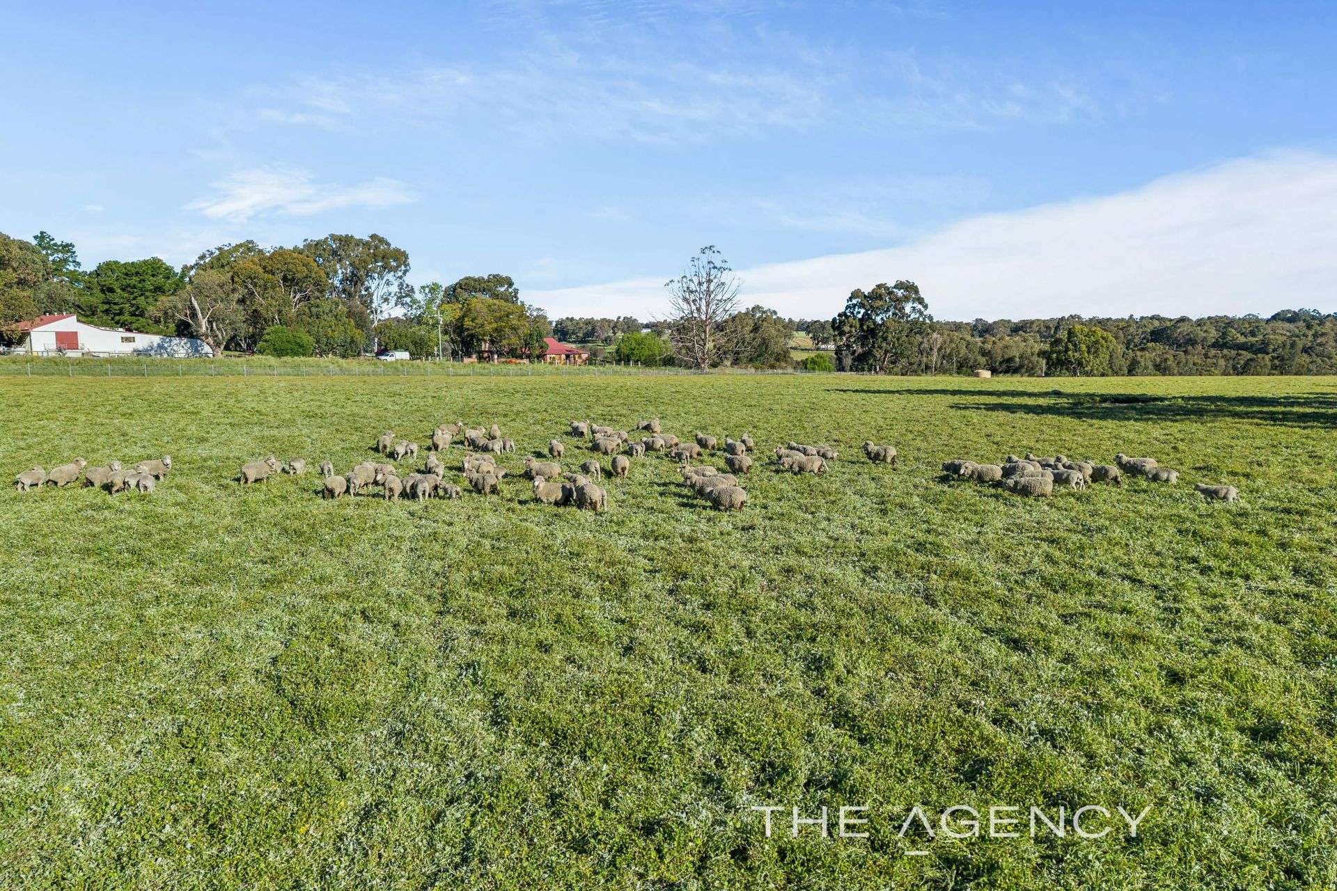 3399 Toodyay Road, Bailup For Sale by Farmbuy.com - image 4