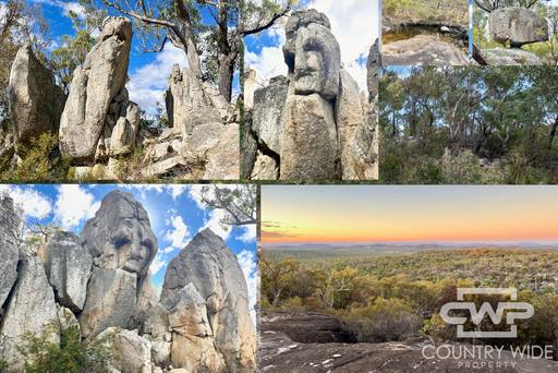 1478 Silent Grove Road, Torrington NSW 2371