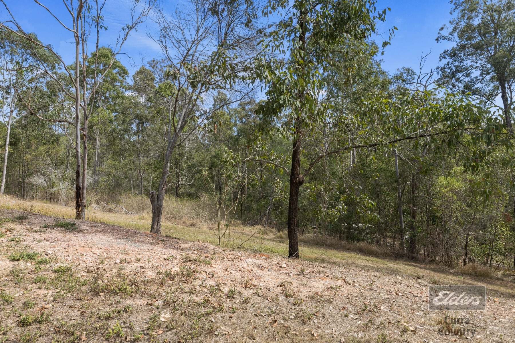 36 Arborthirty One Road, Glenwood For Sale by Farmbuy.com - image 11