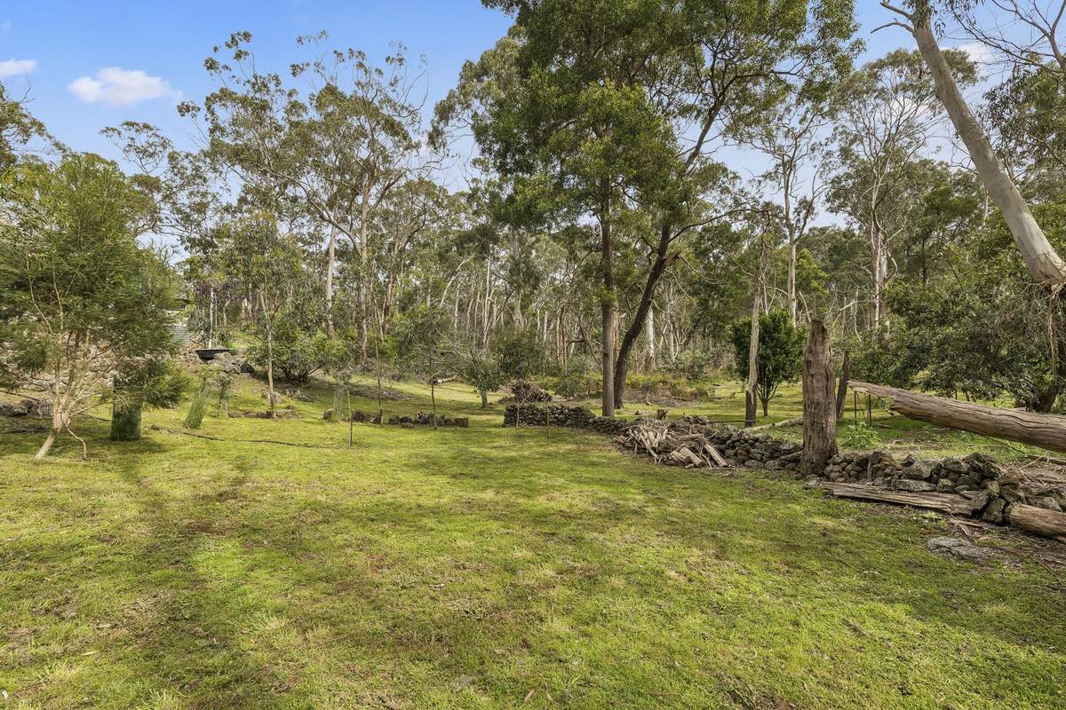 642 Scoullers Road, Carpendeit For Sale by Farmbuy.com - image 12
