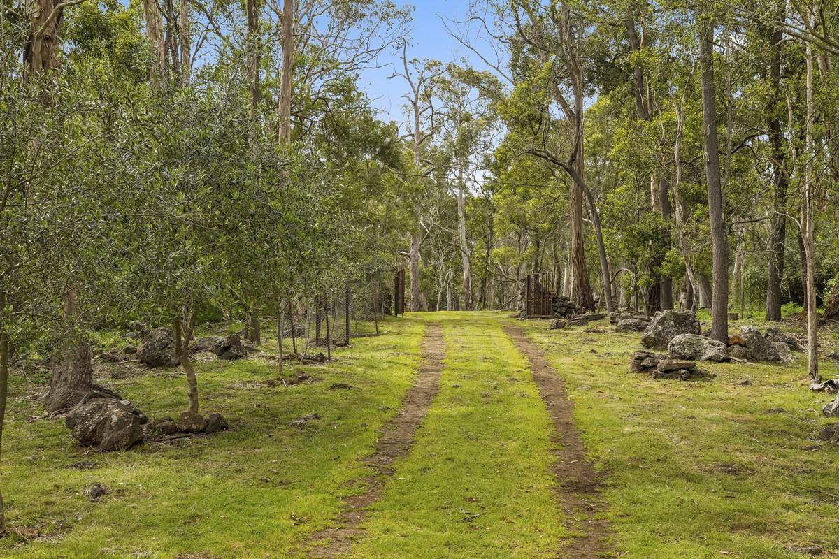 642 Scoullers Road, Carpendeit For Sale by Farmbuy.com - image 13