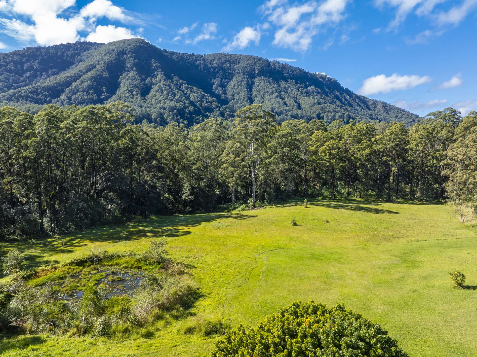 Nimbin For Sale by Farmbuy.com - image 34