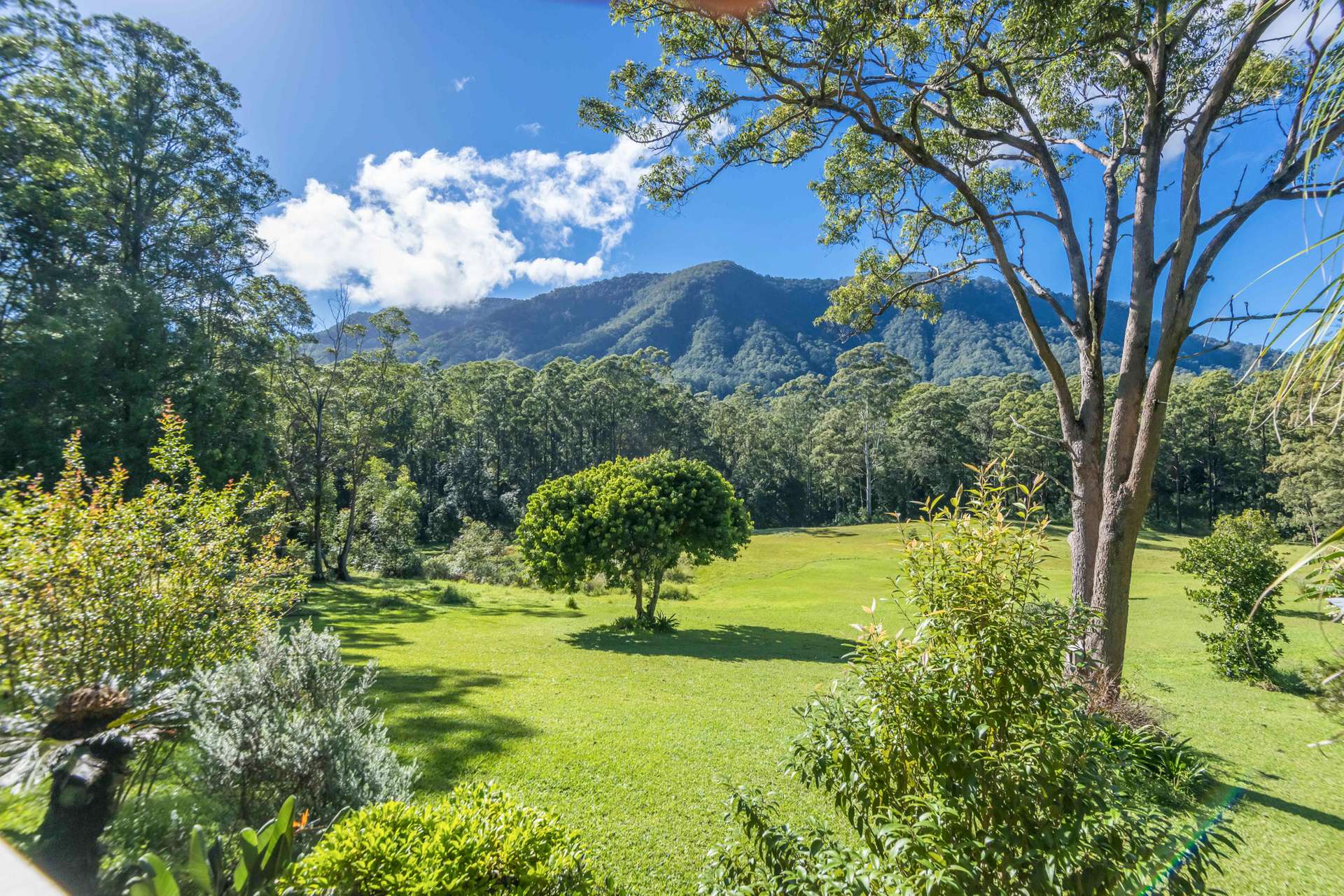 Nimbin For Sale by Farmbuy.com - image 14