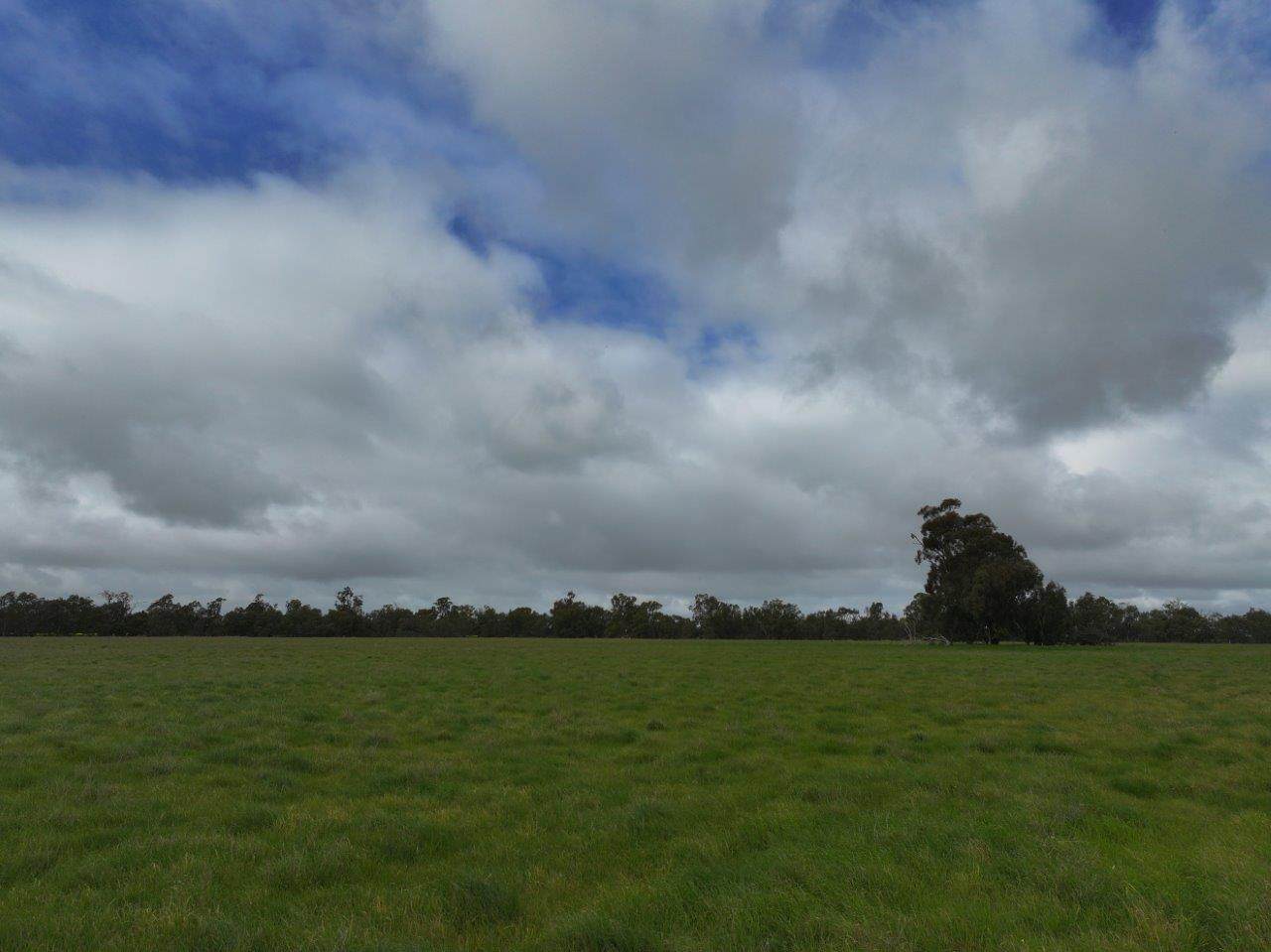 C/A Borung - Prairie Road & Hurstwood School Road, Bears Lagoon For Sale by Farmbuy.com - image 12