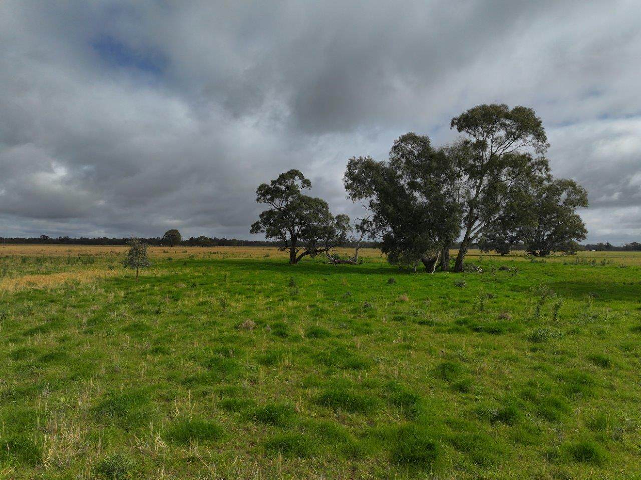 C/A Borung - Prairie Road & Hurstwood School Road, Bears Lagoon For Sale by Farmbuy.com - image 4