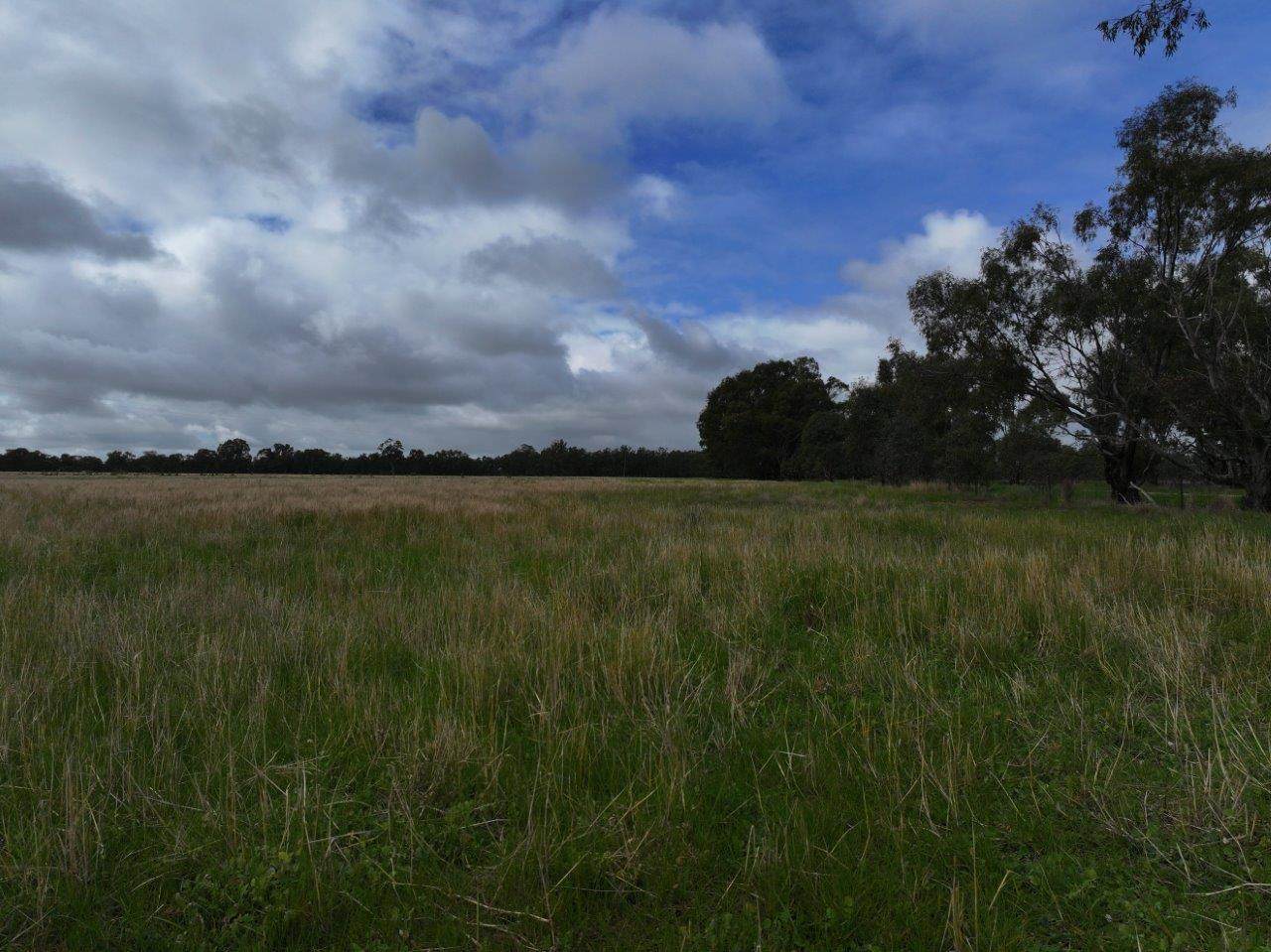 C/A Borung - Prairie Road & Hurstwood School Road, Bears Lagoon For Sale by Farmbuy.com - image 6