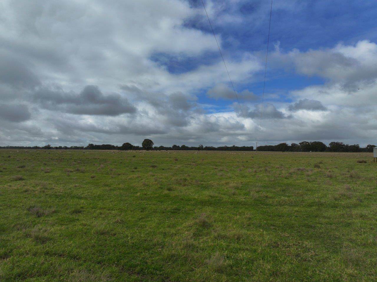 C/A Borung - Prairie Road & Hurstwood School Road, Bears Lagoon For Sale by Farmbuy.com - image 5