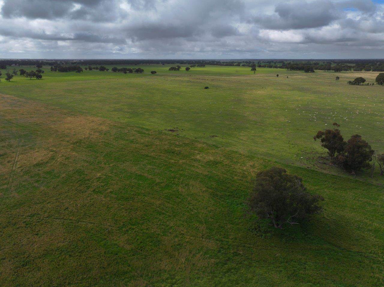 C/A Borung - Prairie Road & Hurstwood School Road, Bears Lagoon For Sale by Farmbuy.com - image 16