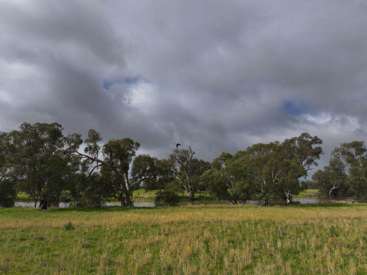 C/A Borung - Prairie Road & Hurstwood School Road, Bears Lagoon For Sale by Farmbuy.com - image 2