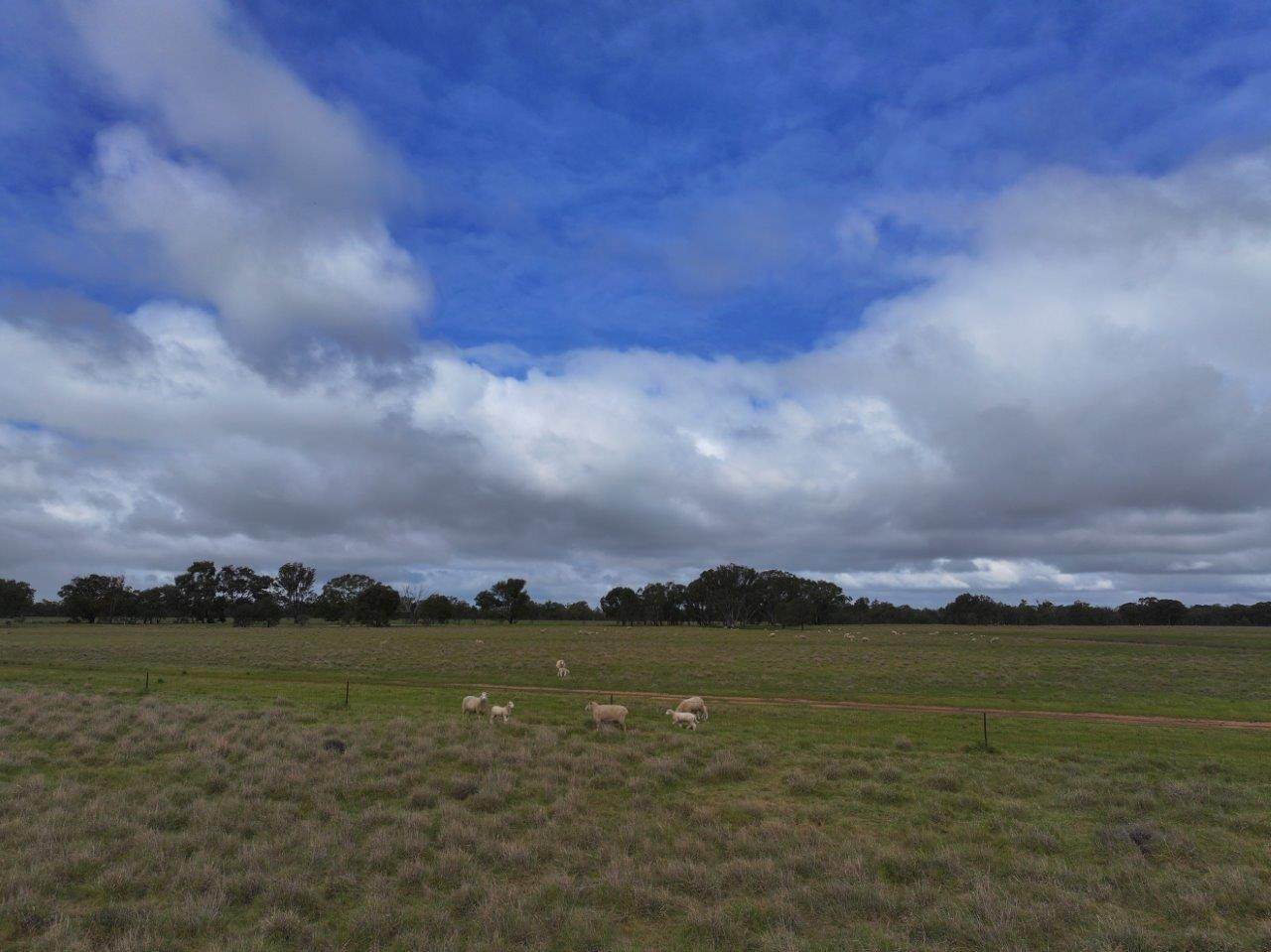 C/A Borung - Prairie Road & Hurstwood School Road, Bears Lagoon For Sale by Farmbuy.com - image 14