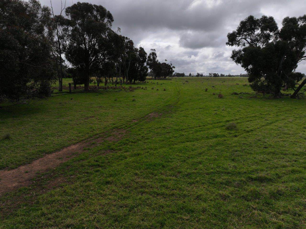 C/A Borung - Prairie Road & Hurstwood School Road, Bears Lagoon For Sale by Farmbuy.com - image 15