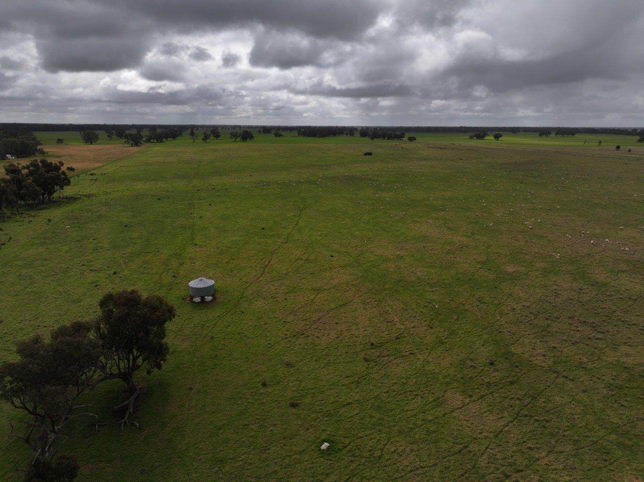 C/A Borung - Prairie Road & Hurstwood School Road, Bears Lagoon For Sale by Farmbuy.com - image 9